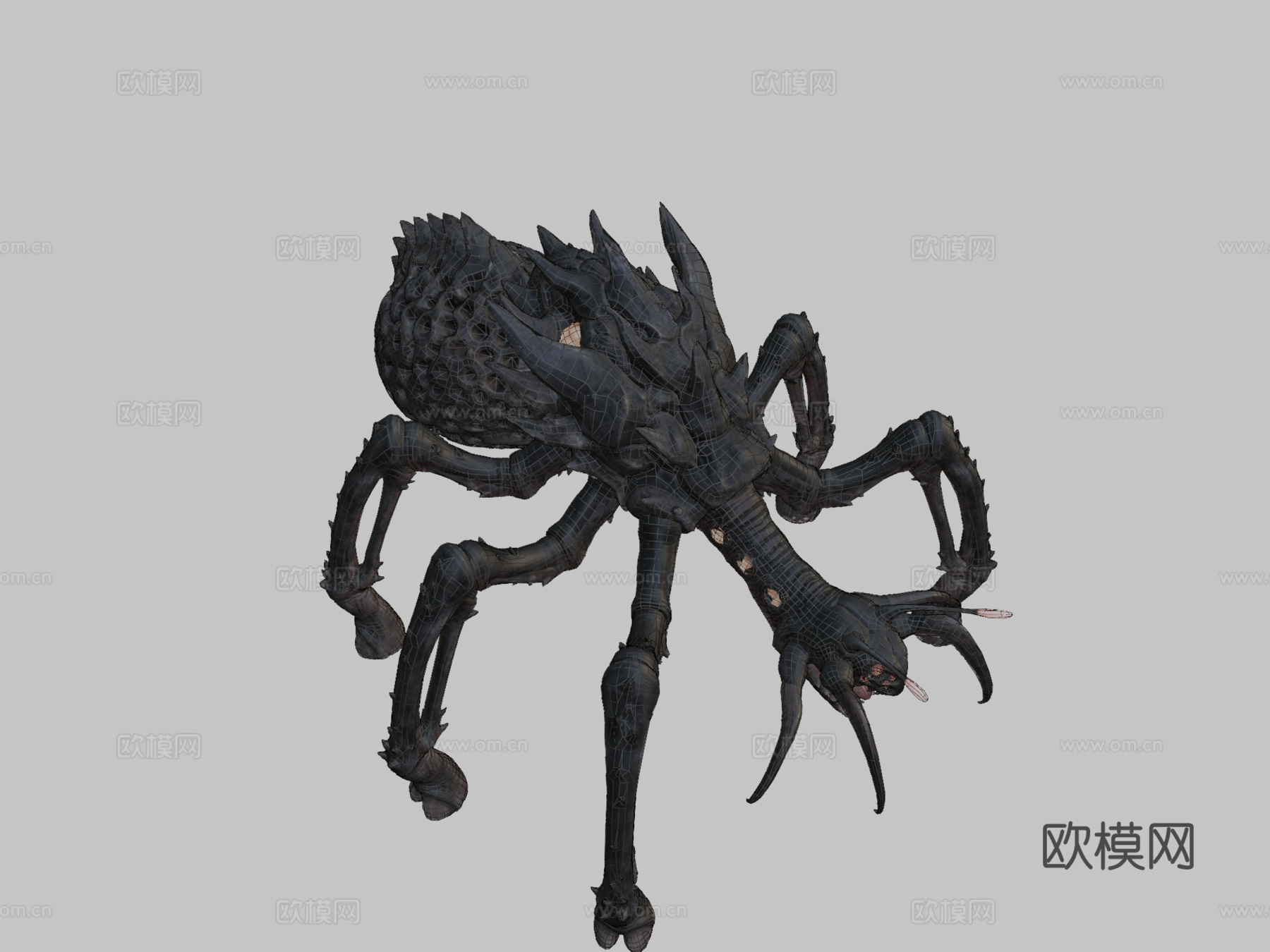 英格纳尔维斯动画3d模型