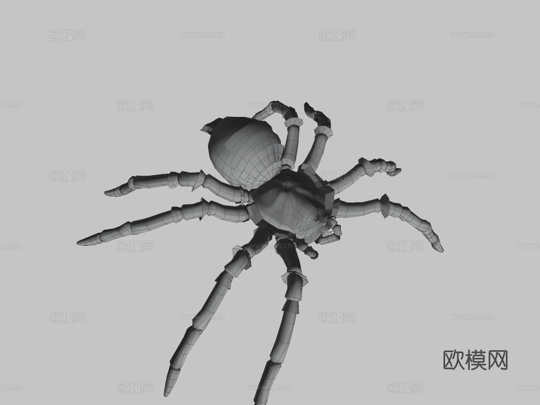 毛茸茸蜘蛛3d模型