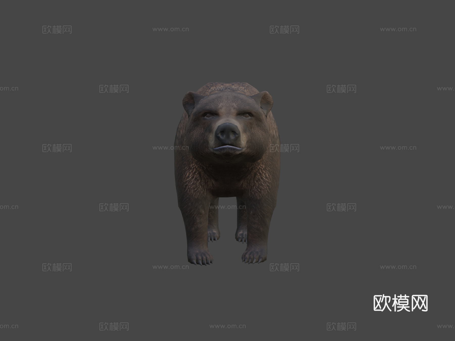 熊13d模型