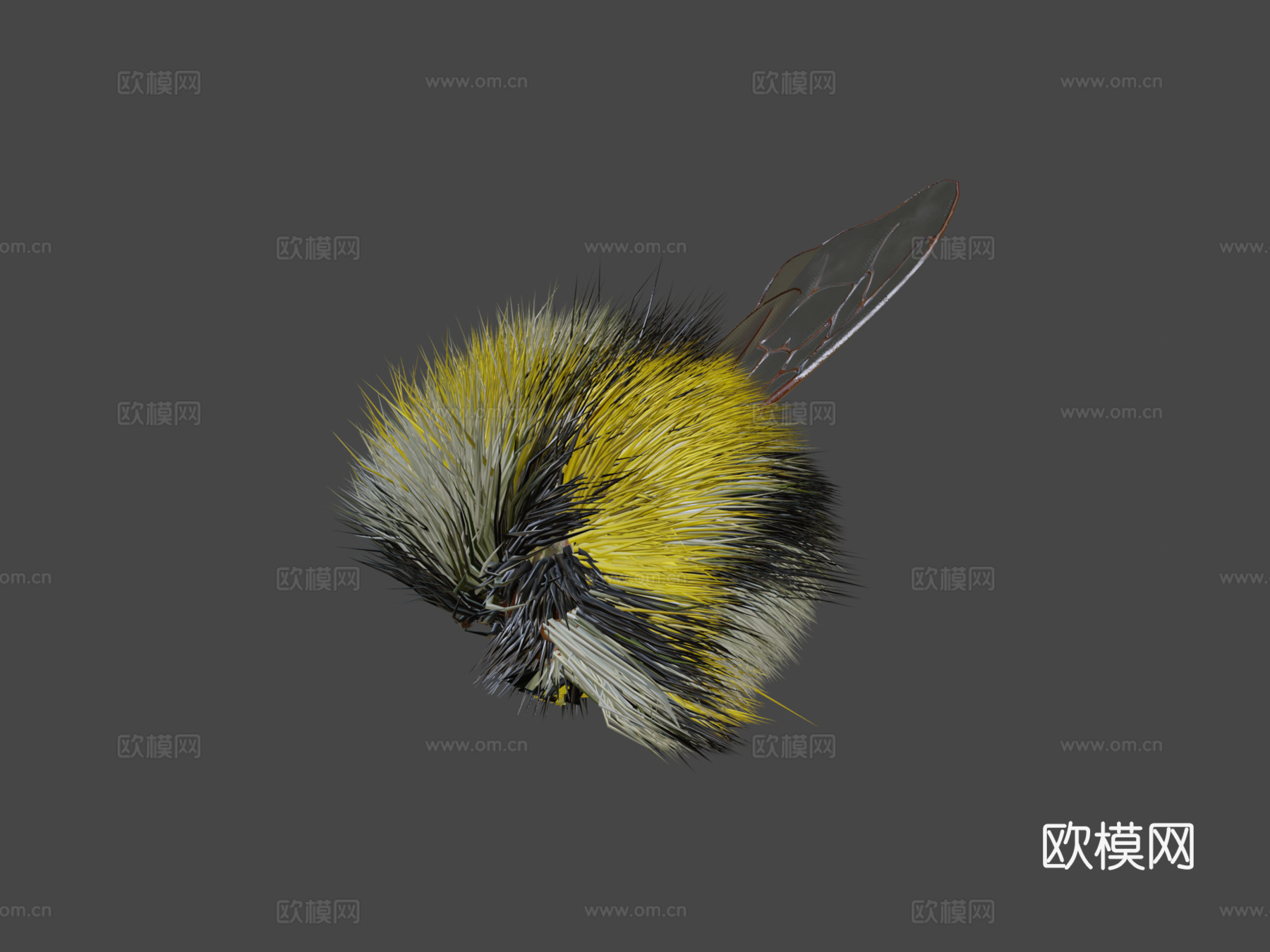 大黄蜂绑定PBR3d模型