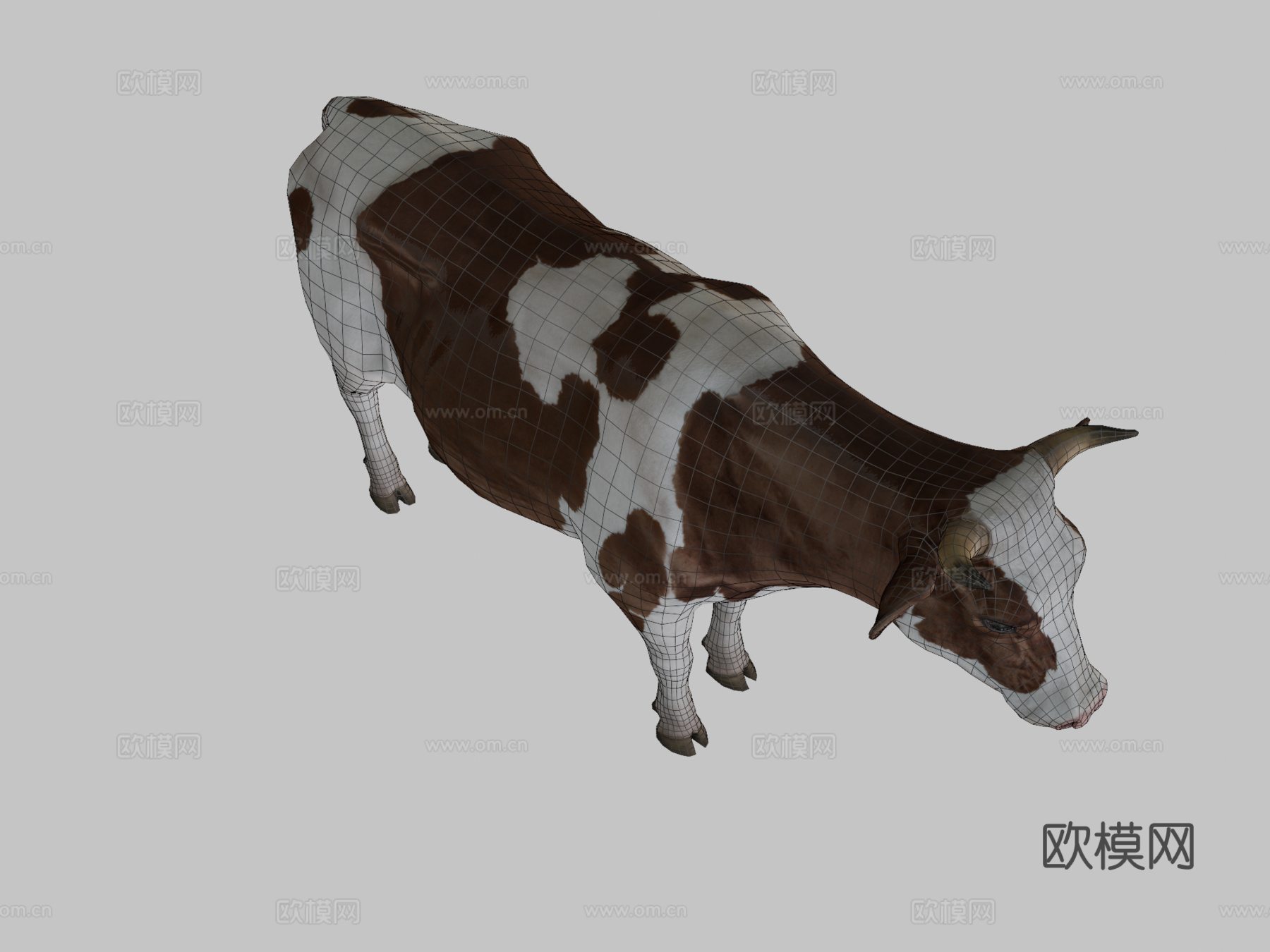 牛动画3d模型