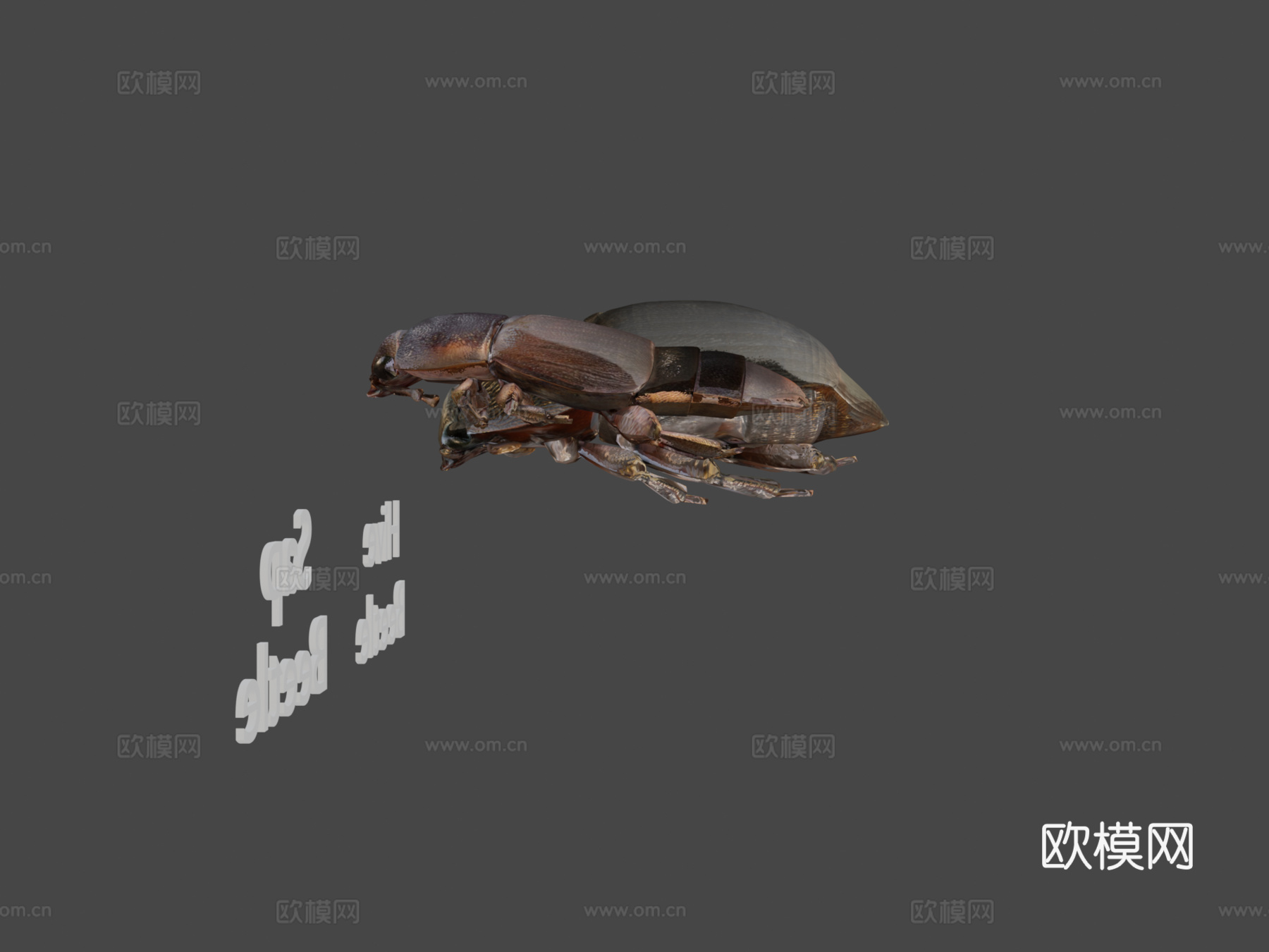 树汁与蜂甲虫对比3d模型