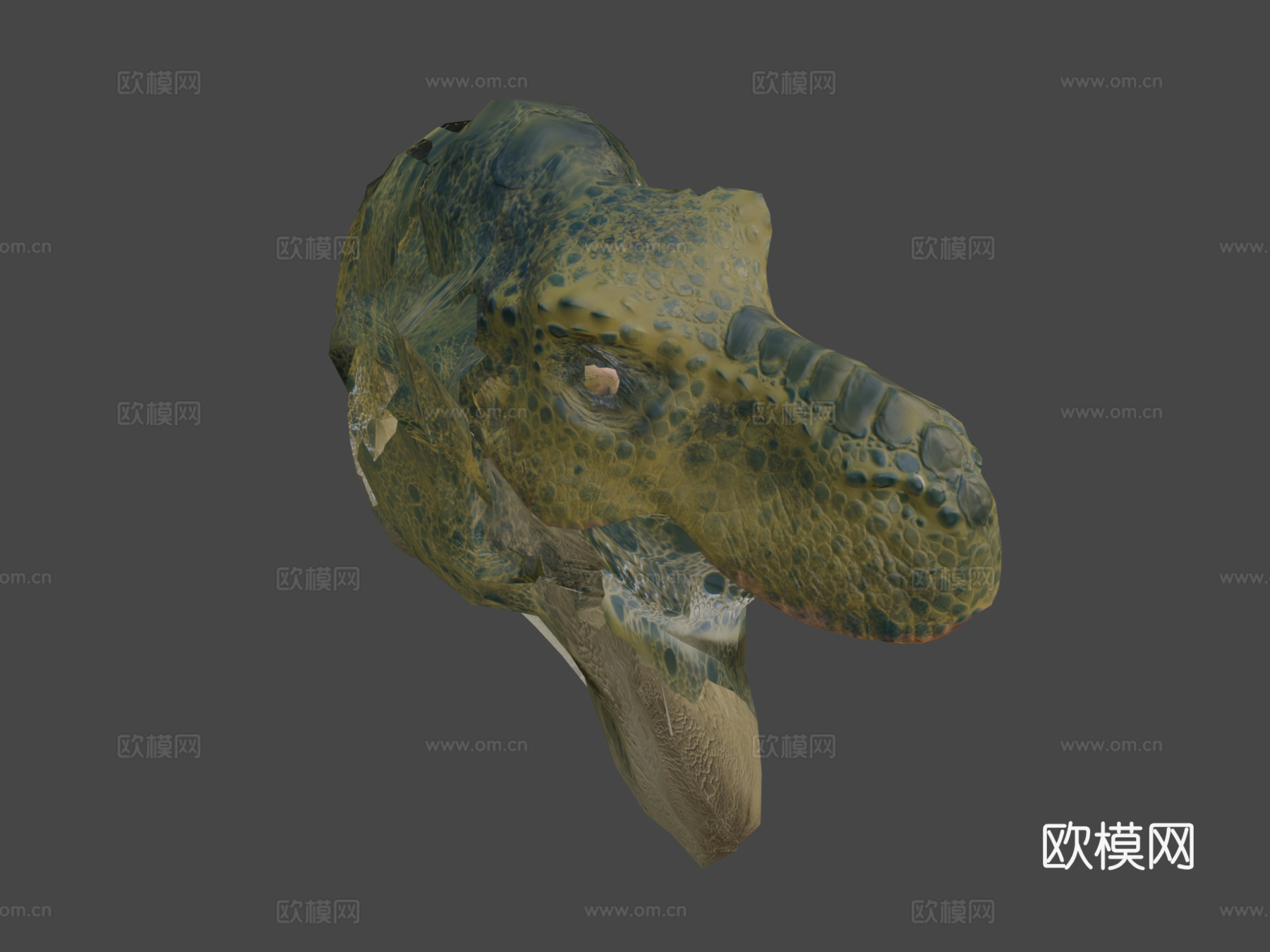 暴龙3.03d模型