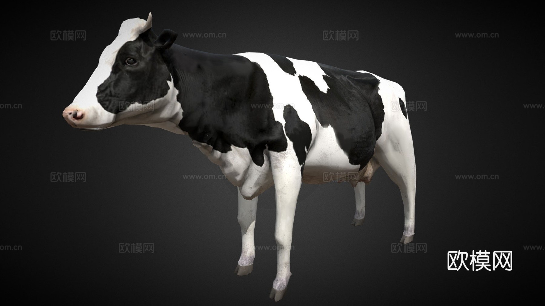奶牛3d模型