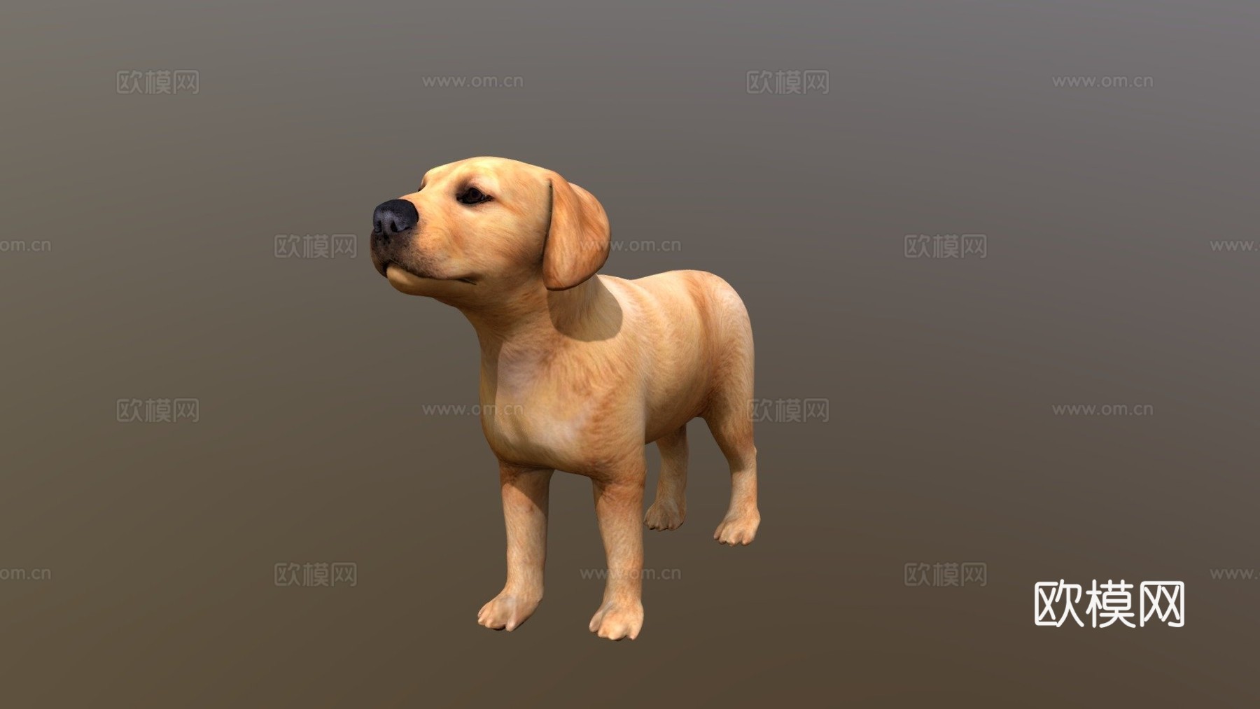 小狗幼崽3d模型