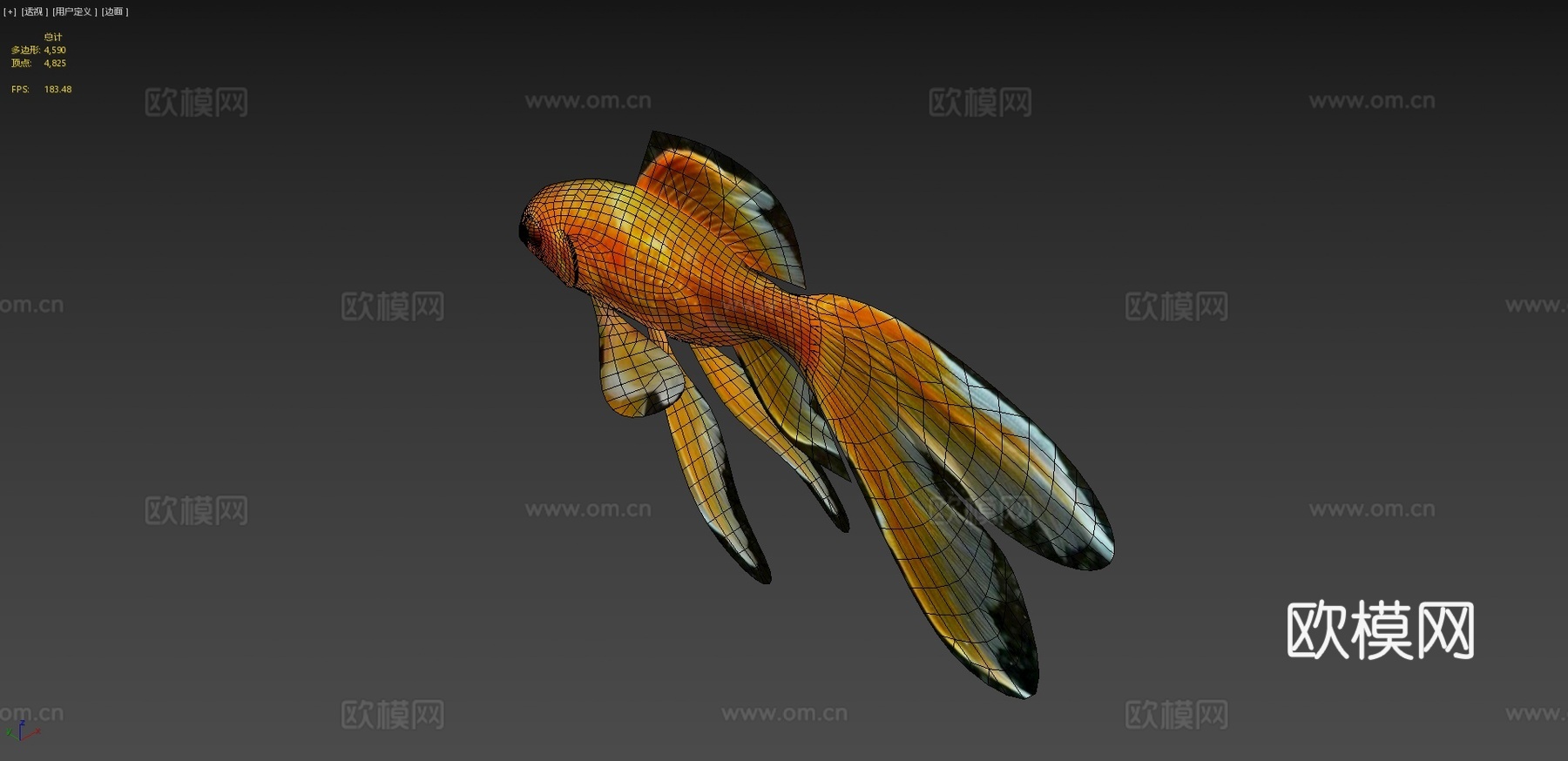 金鱼3d模型