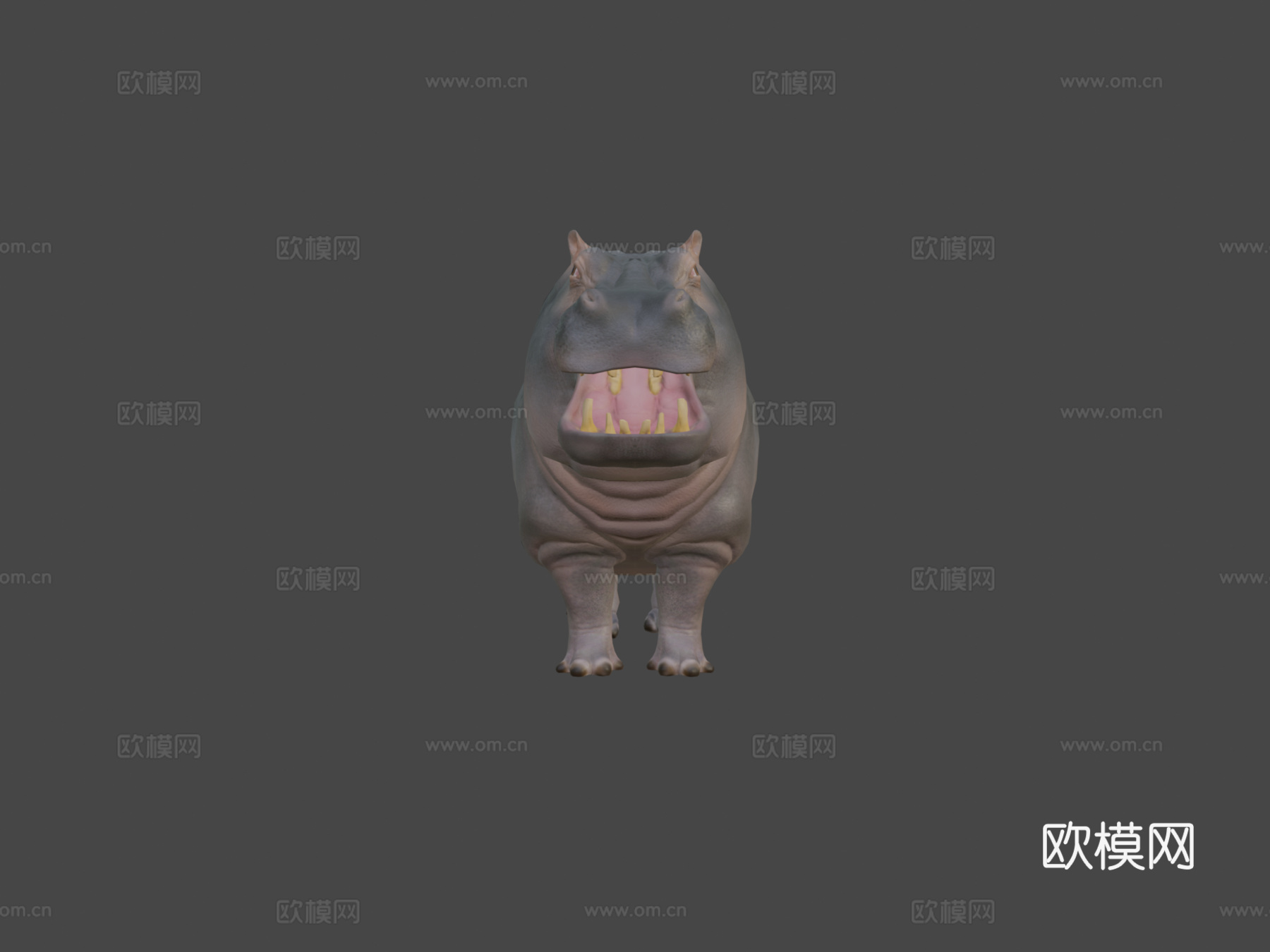 河马动画集3d模型