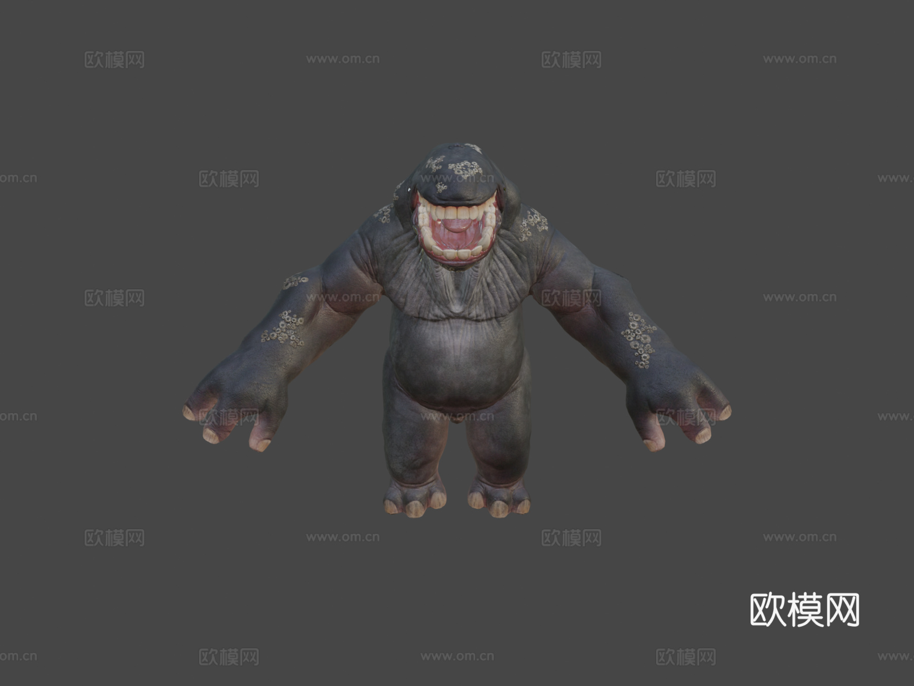 乌尔萨塞图斯动画3d模型