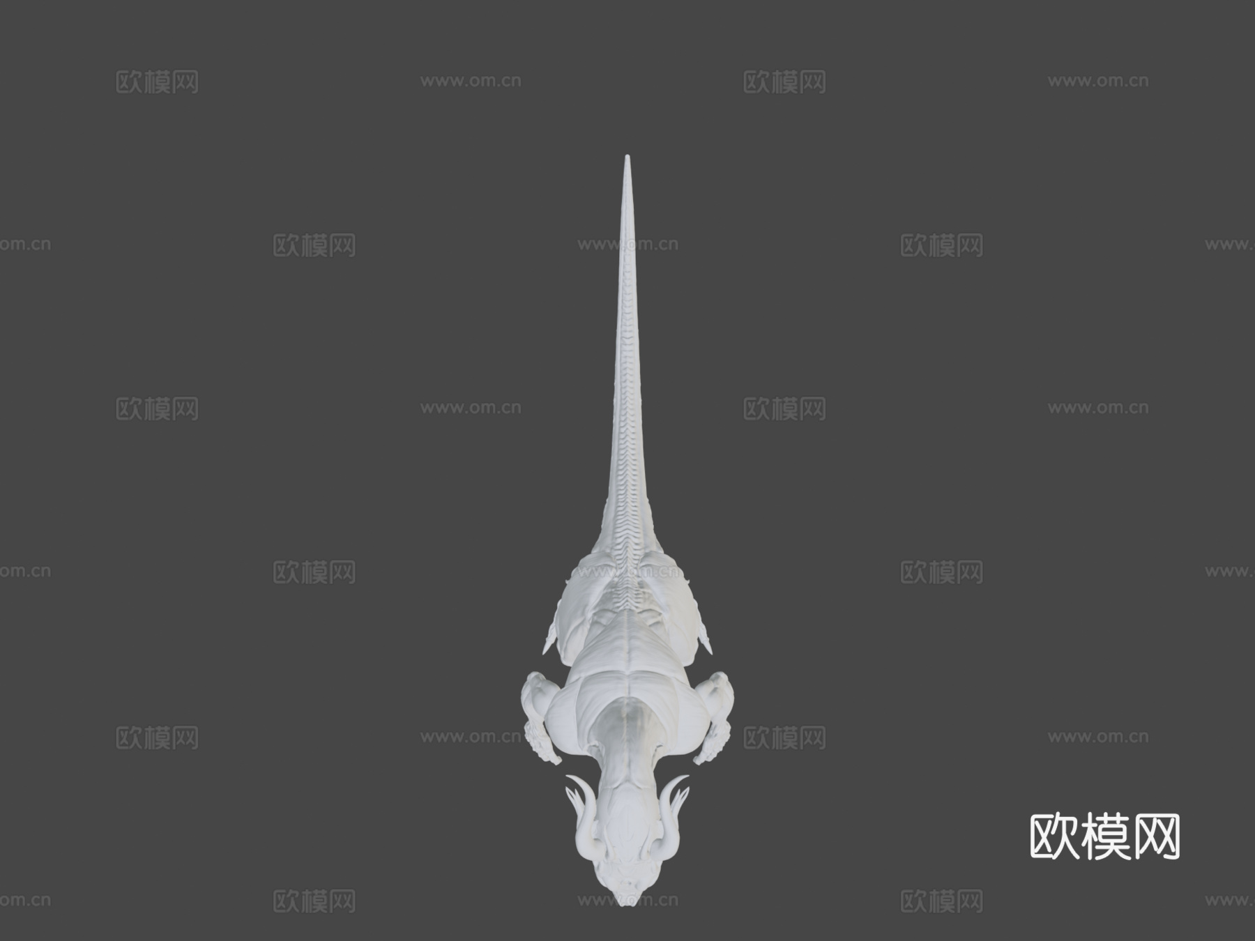 希萨里肌肉解剖参考3d模型