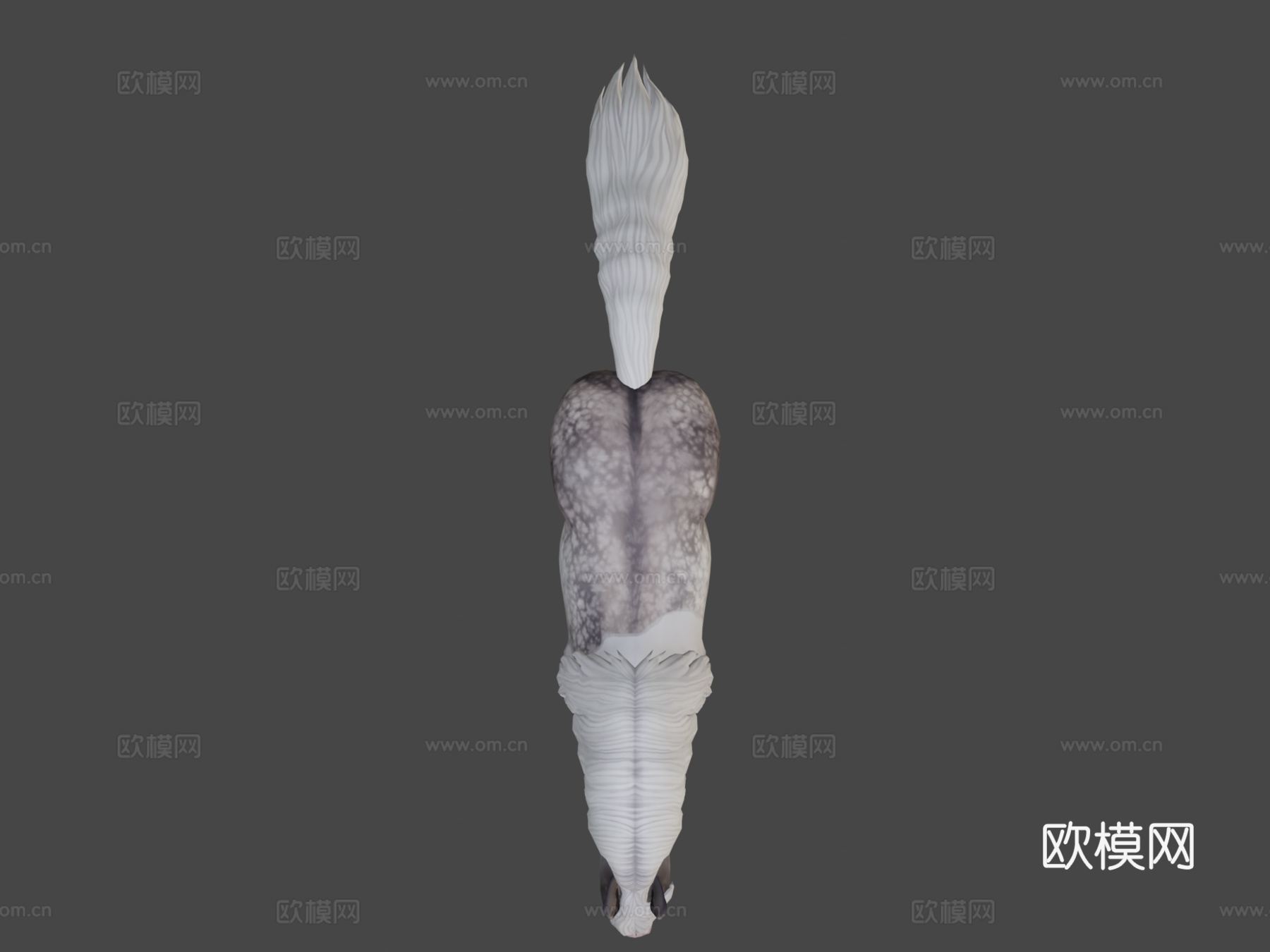 星之稳定中的修补马3d模型