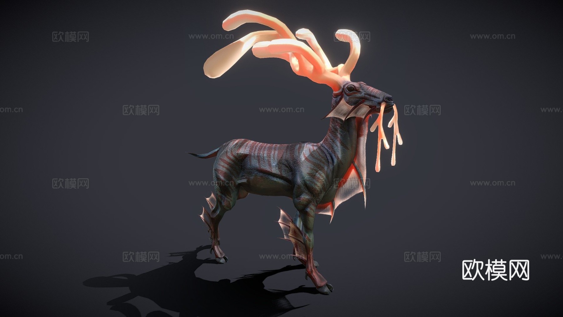海葵鹿3d模型
