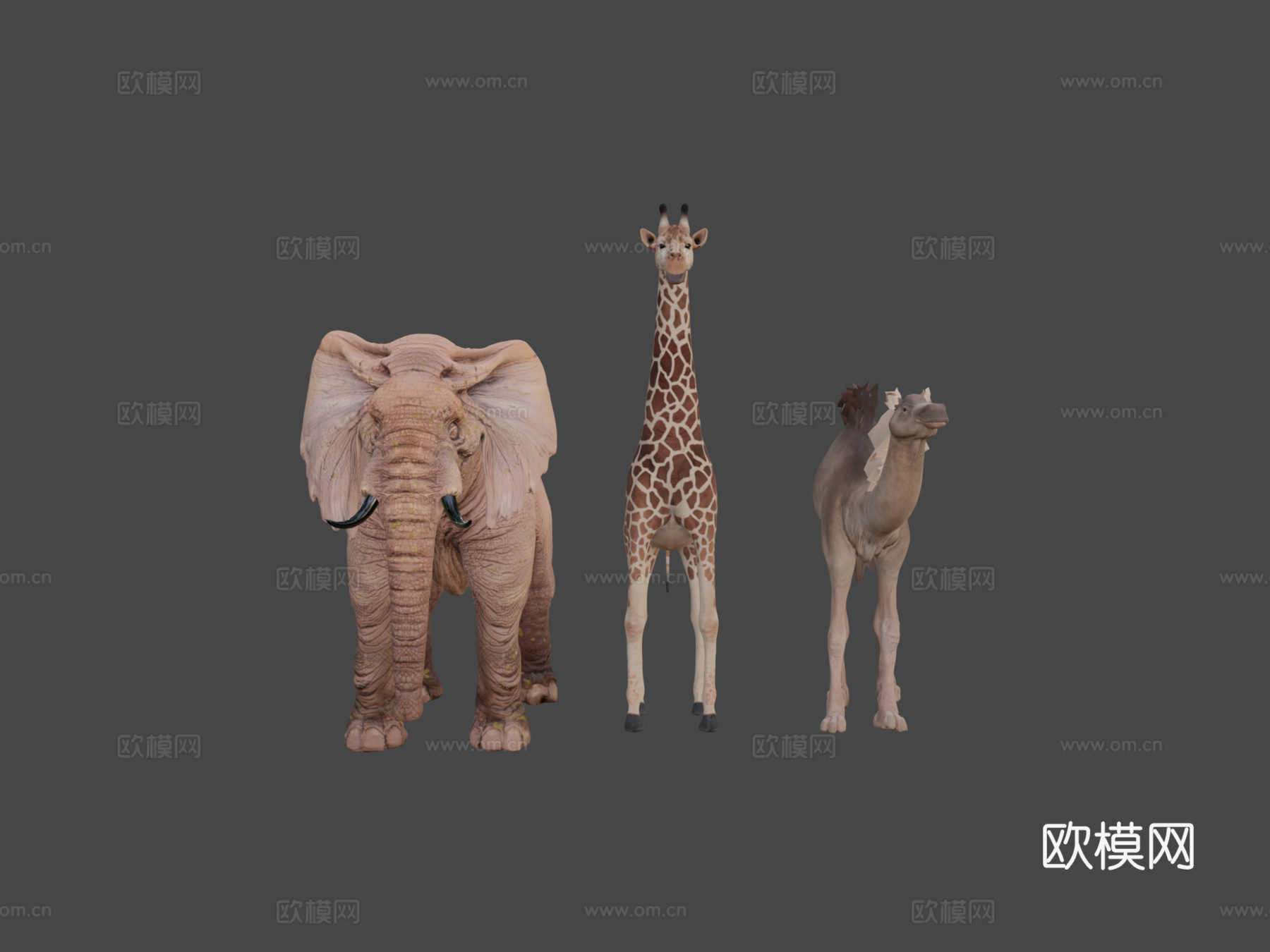 动物包13d模型