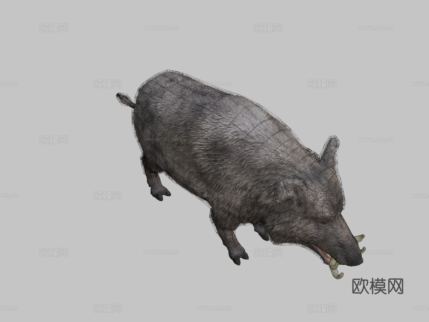 野猪动画3d模型