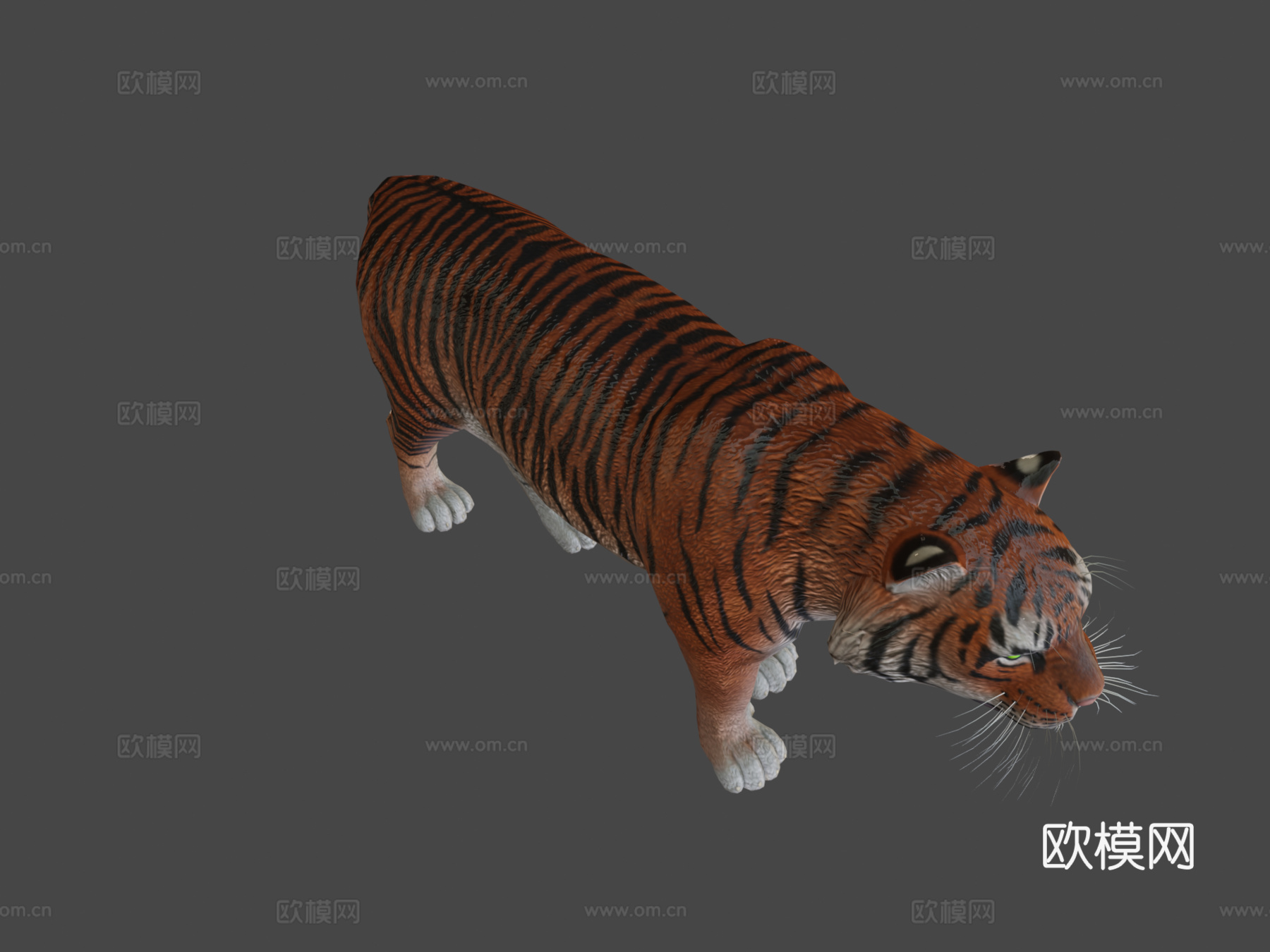里海虎3d模型