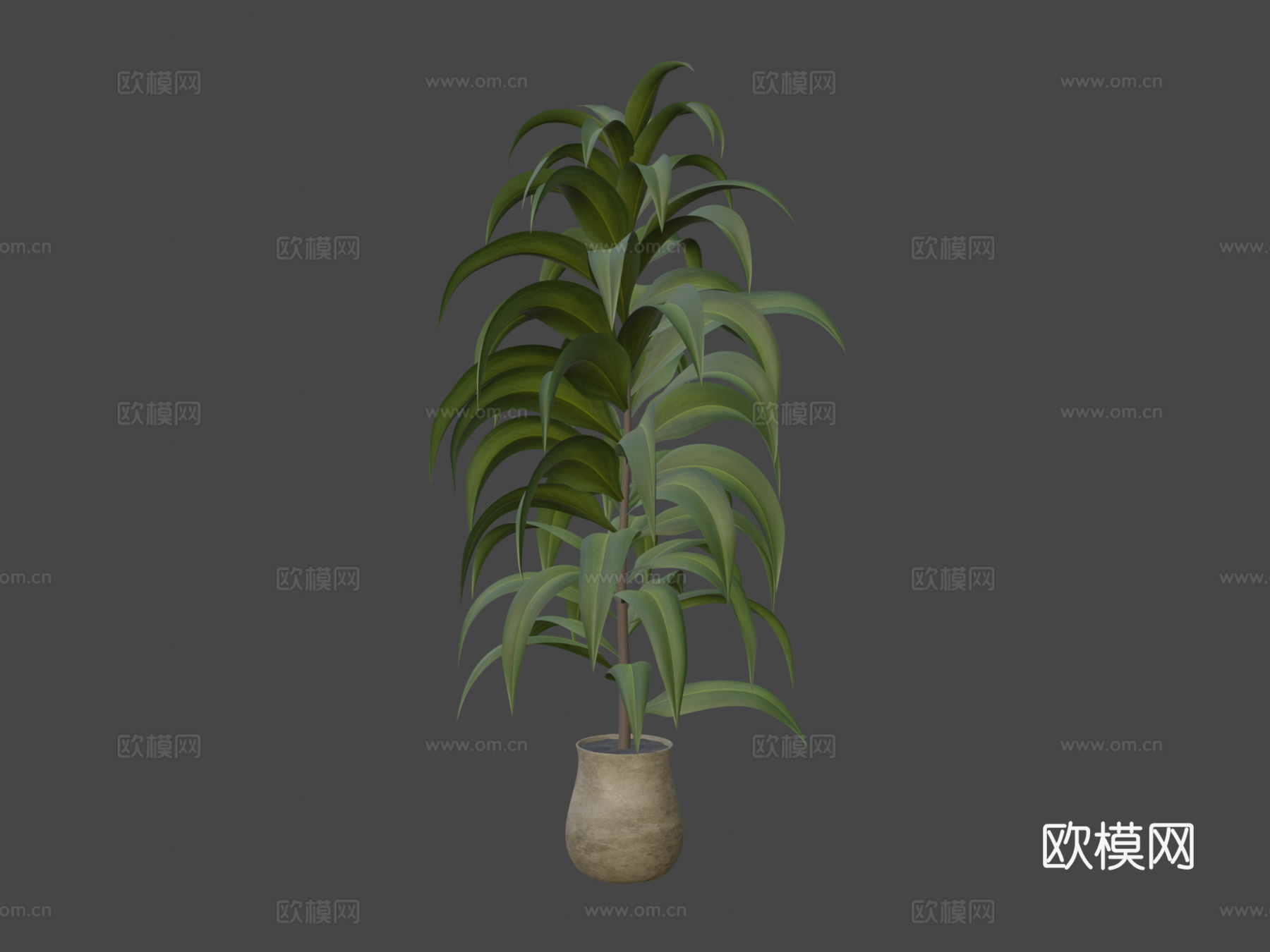 植物3d模型