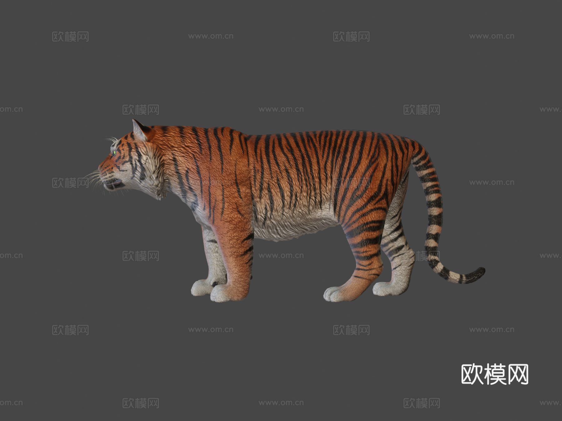 里海虎3d模型