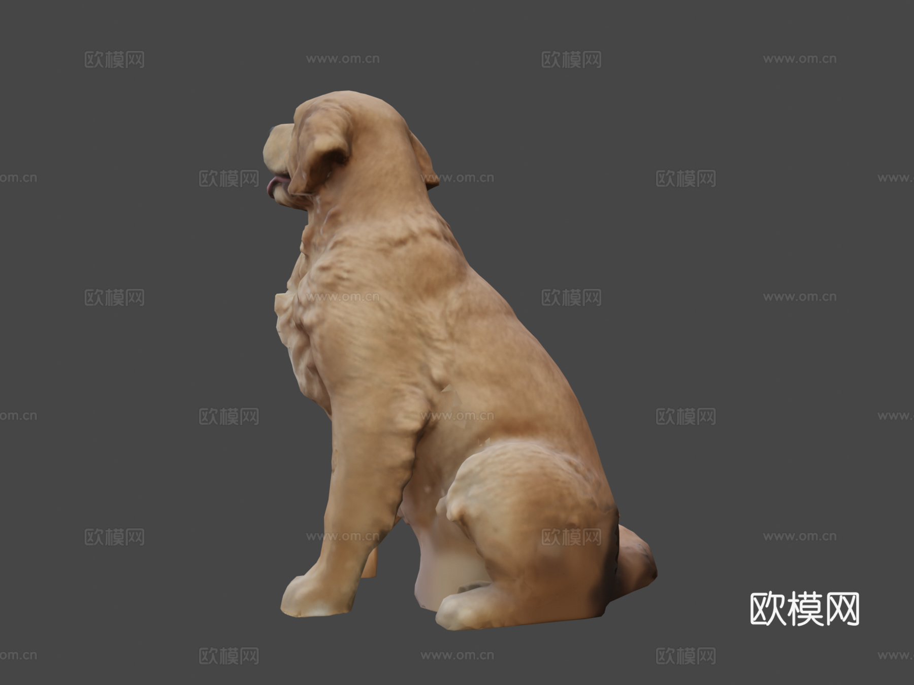金毛寻回犬3d模型