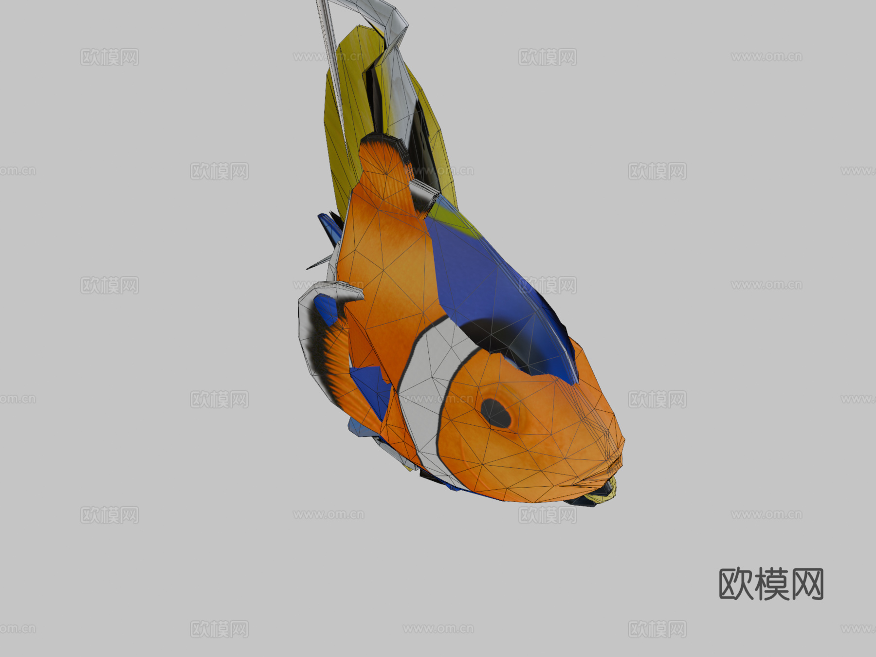 热带鱼群游动动画循环3d模型