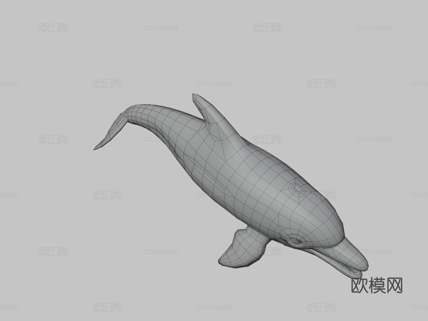 海豚3d模型