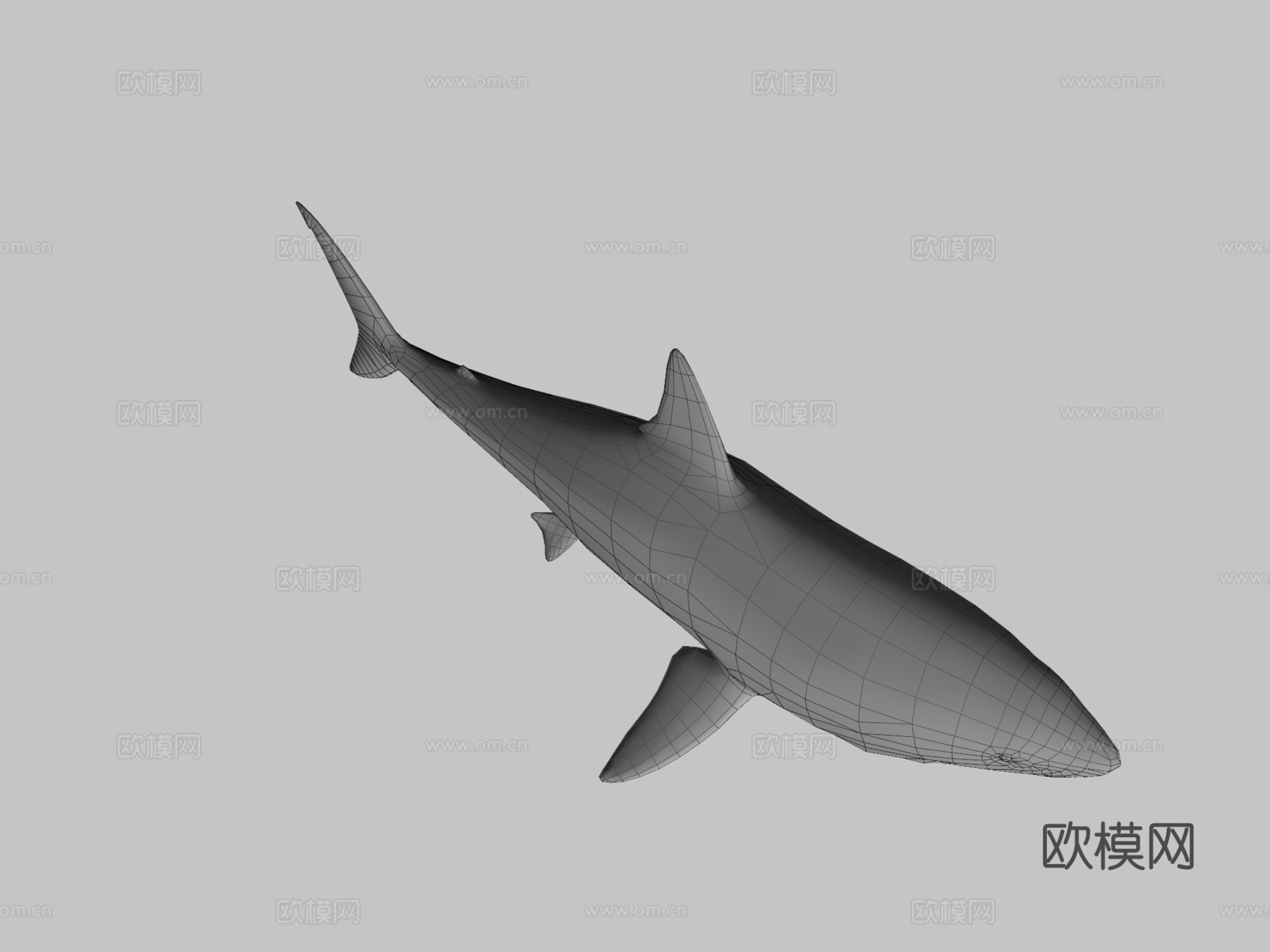 巨齿鲨3d模型