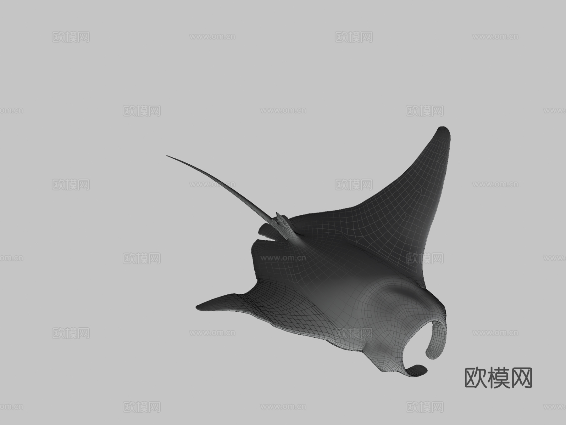 蝠鲼3d模型