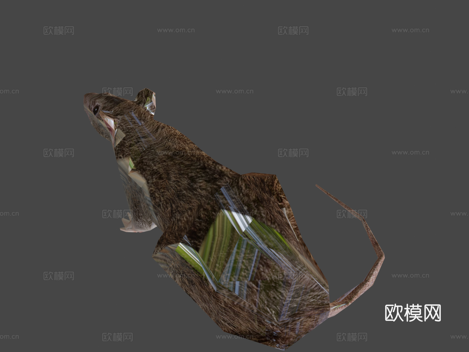 水平旋转鼠3d模型