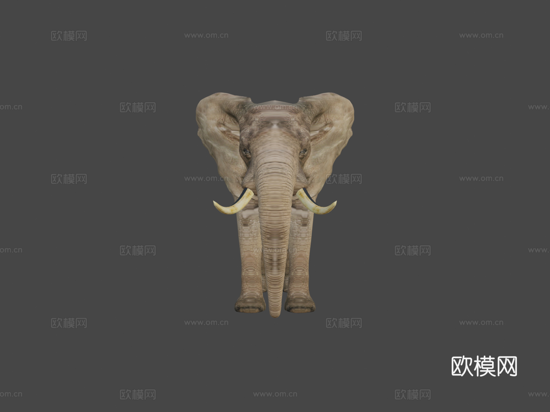 大象-加贾3d模型