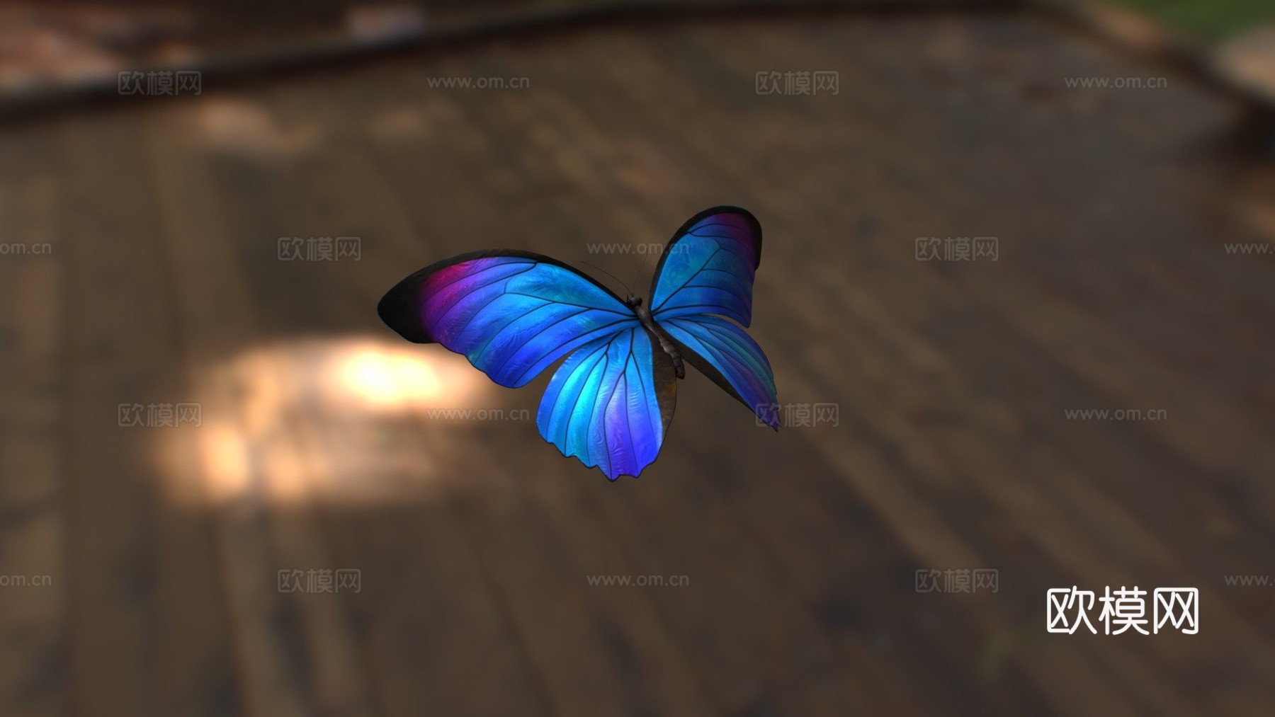 动画蓝闪蝶3d模型