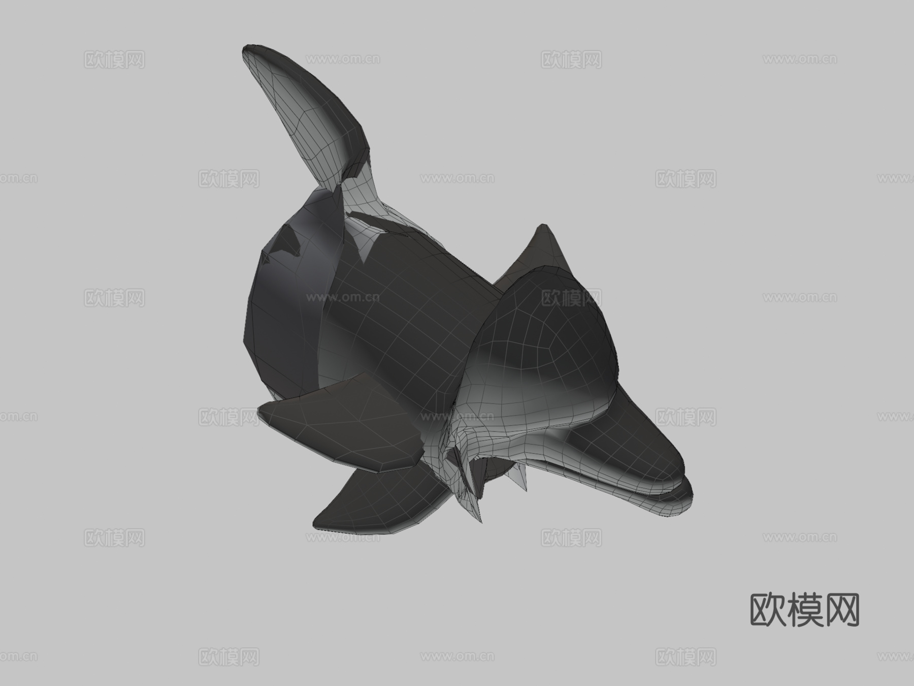 海豚3d模型