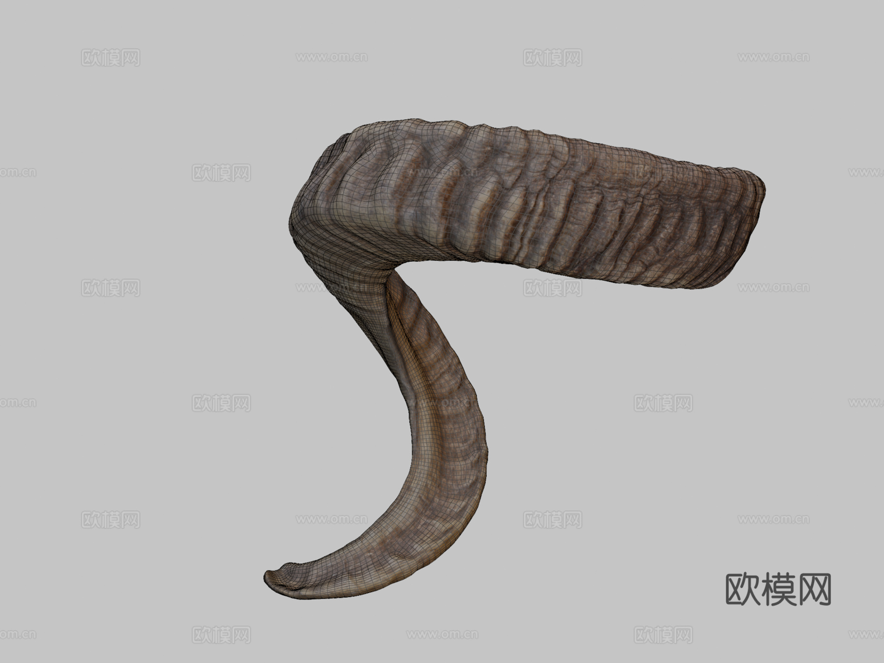 公羊角3d模型