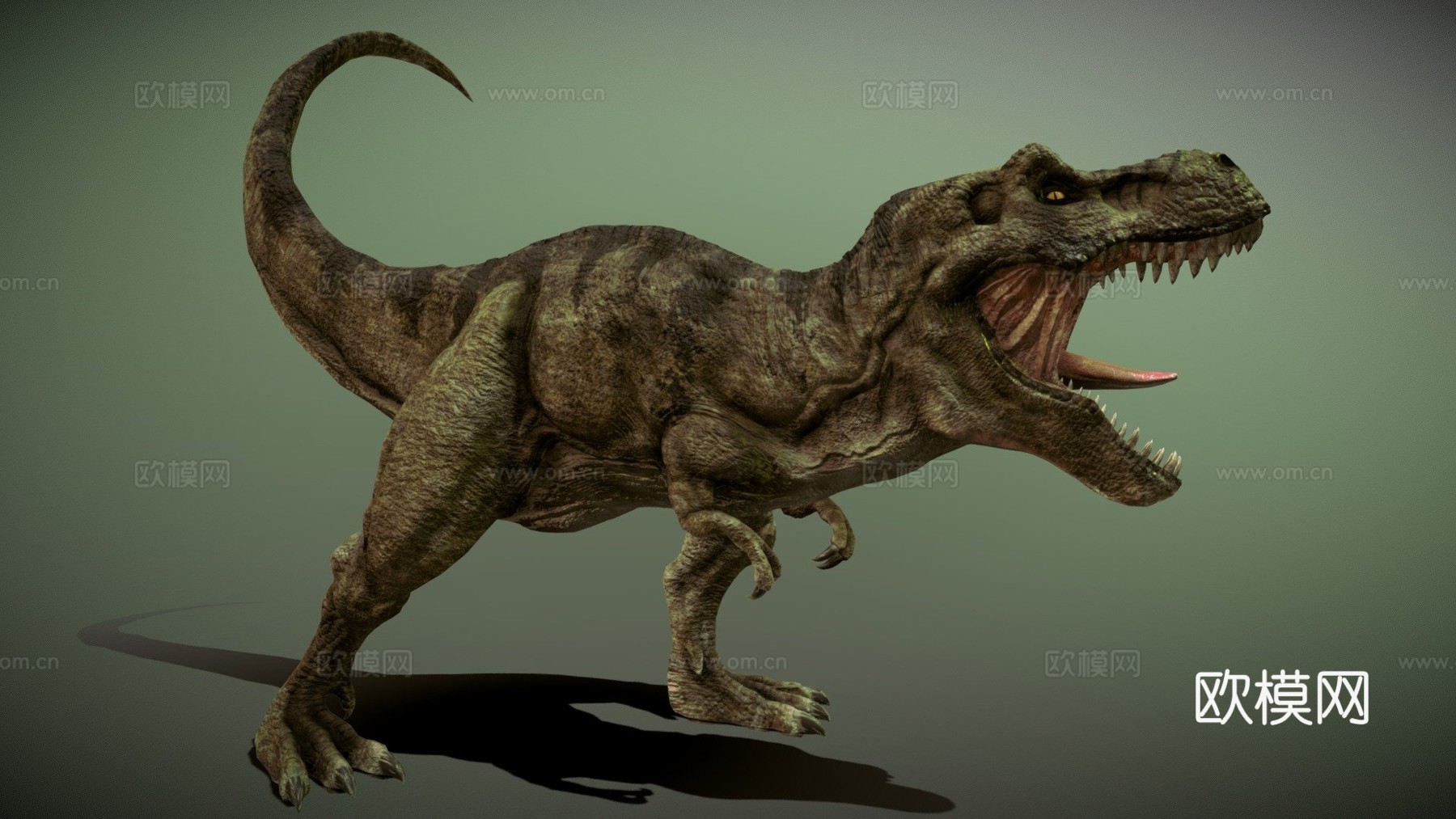 霸王龙3d模型