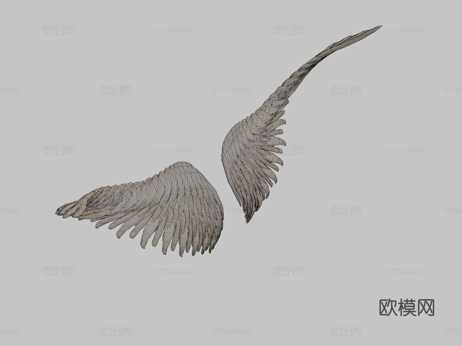 翅膀3d模型