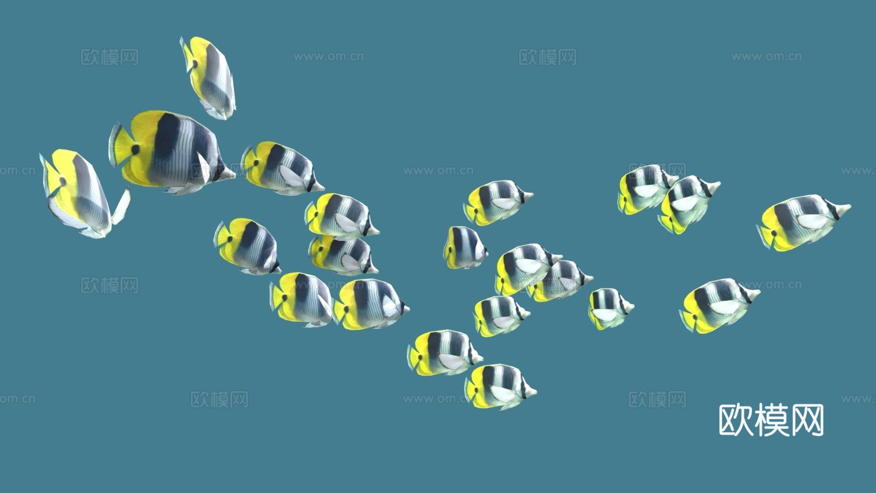 群游双鞍鱼3d模型