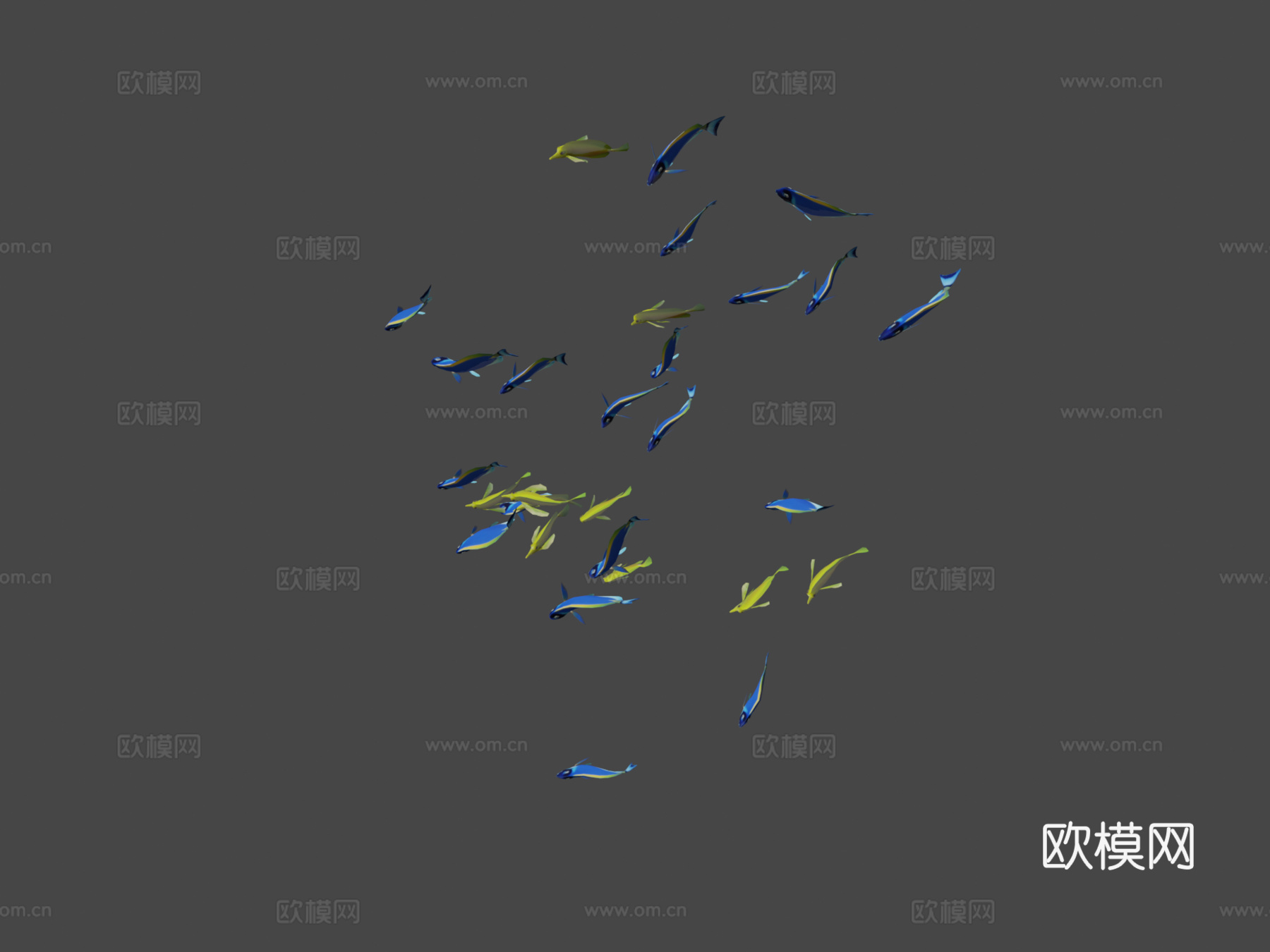 群游鱼蓝黄刺尾鱼3d模型