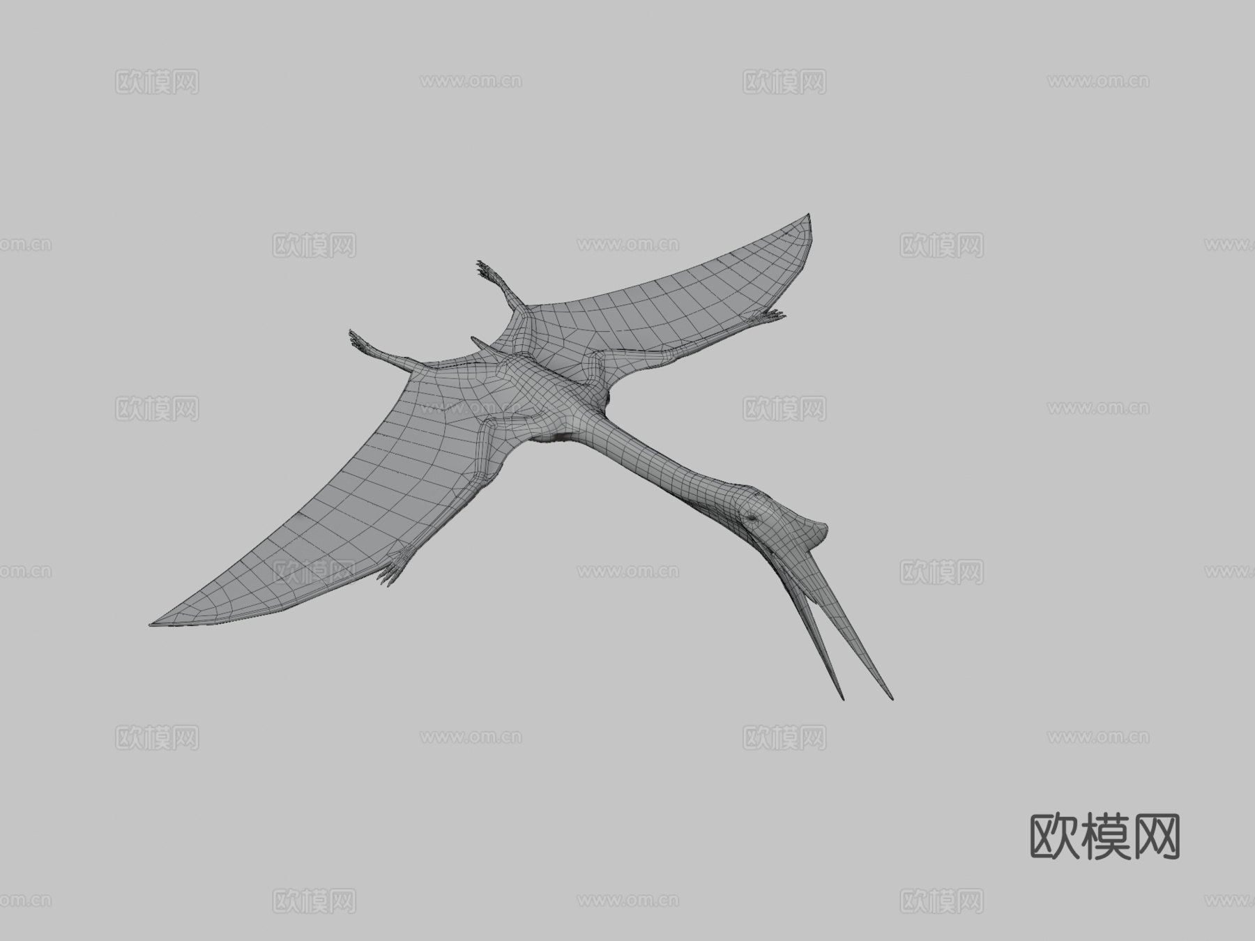 风神翼龙3d模型