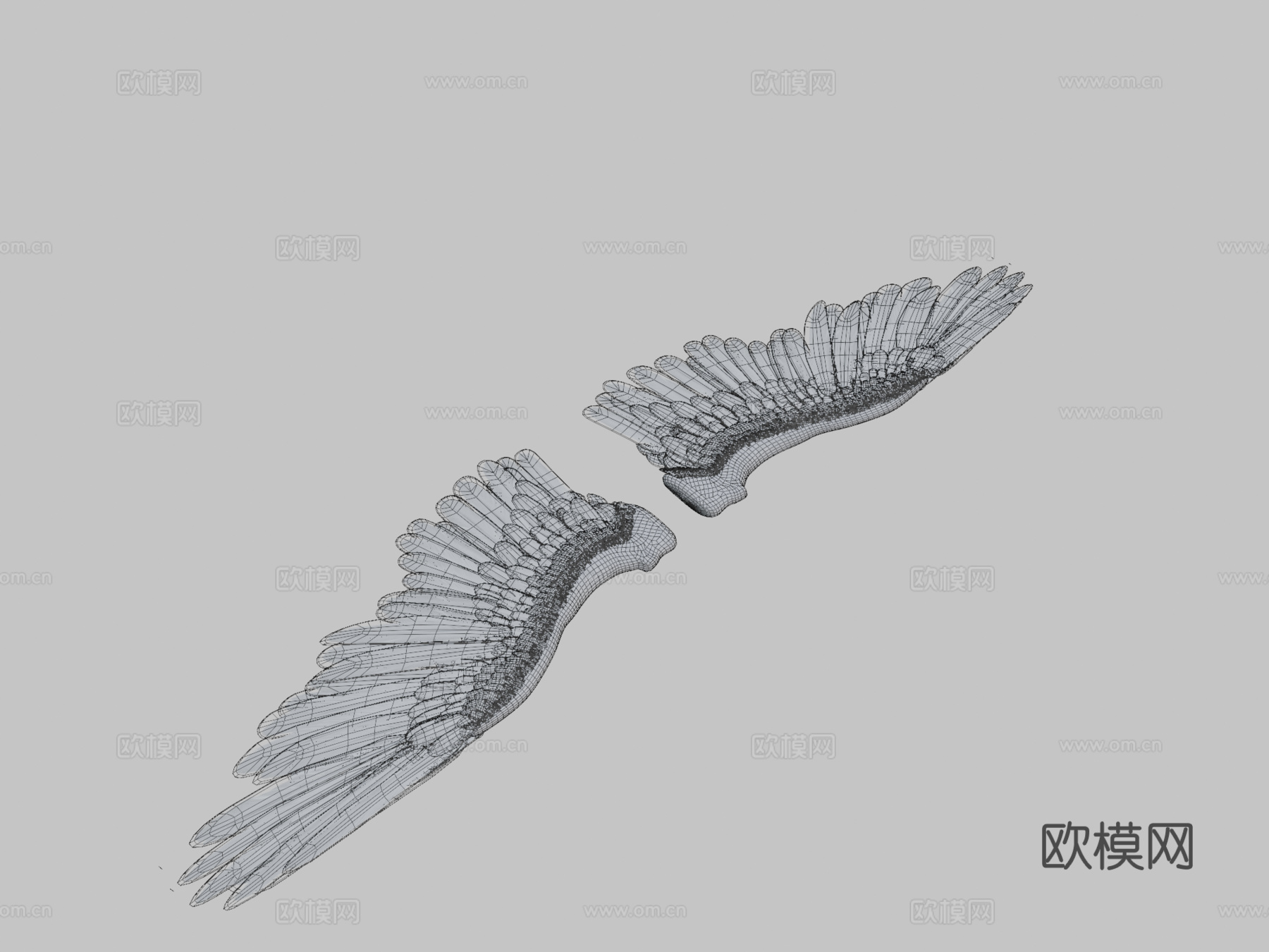 天使或鸟翼3d模型
