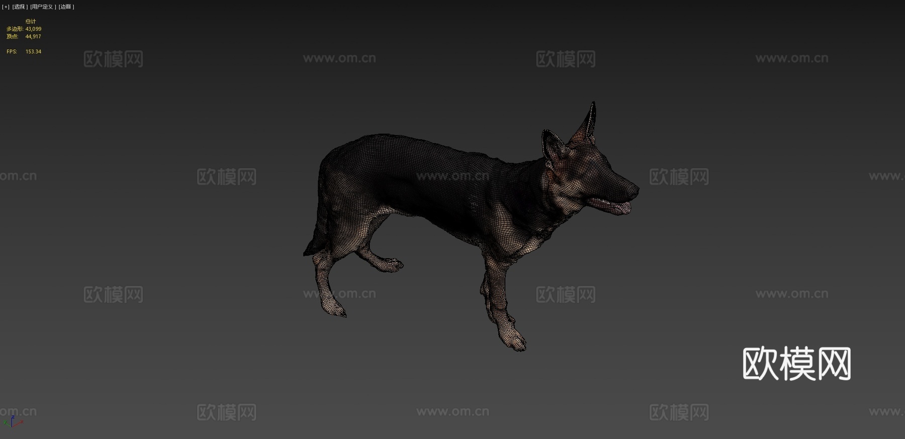 CD_德国牧羊犬幼犬扫描3d模型