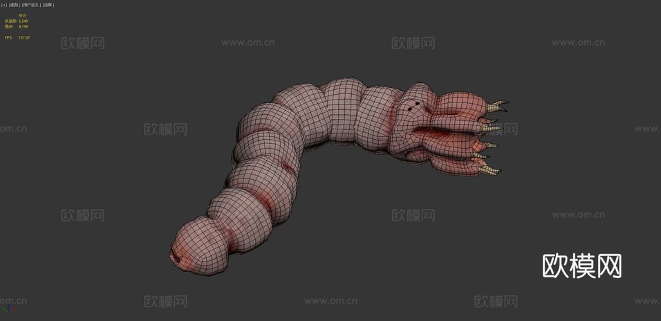 蠕虫3d模型下载(渲染图4)