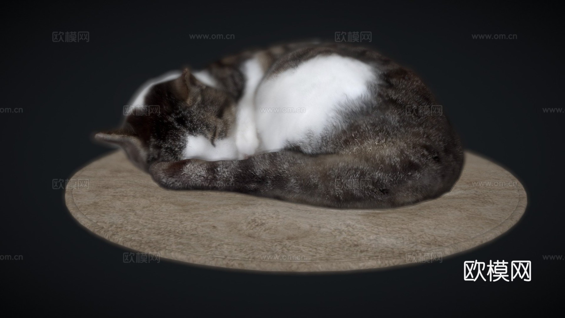 垫子上睡觉的猫3d模型