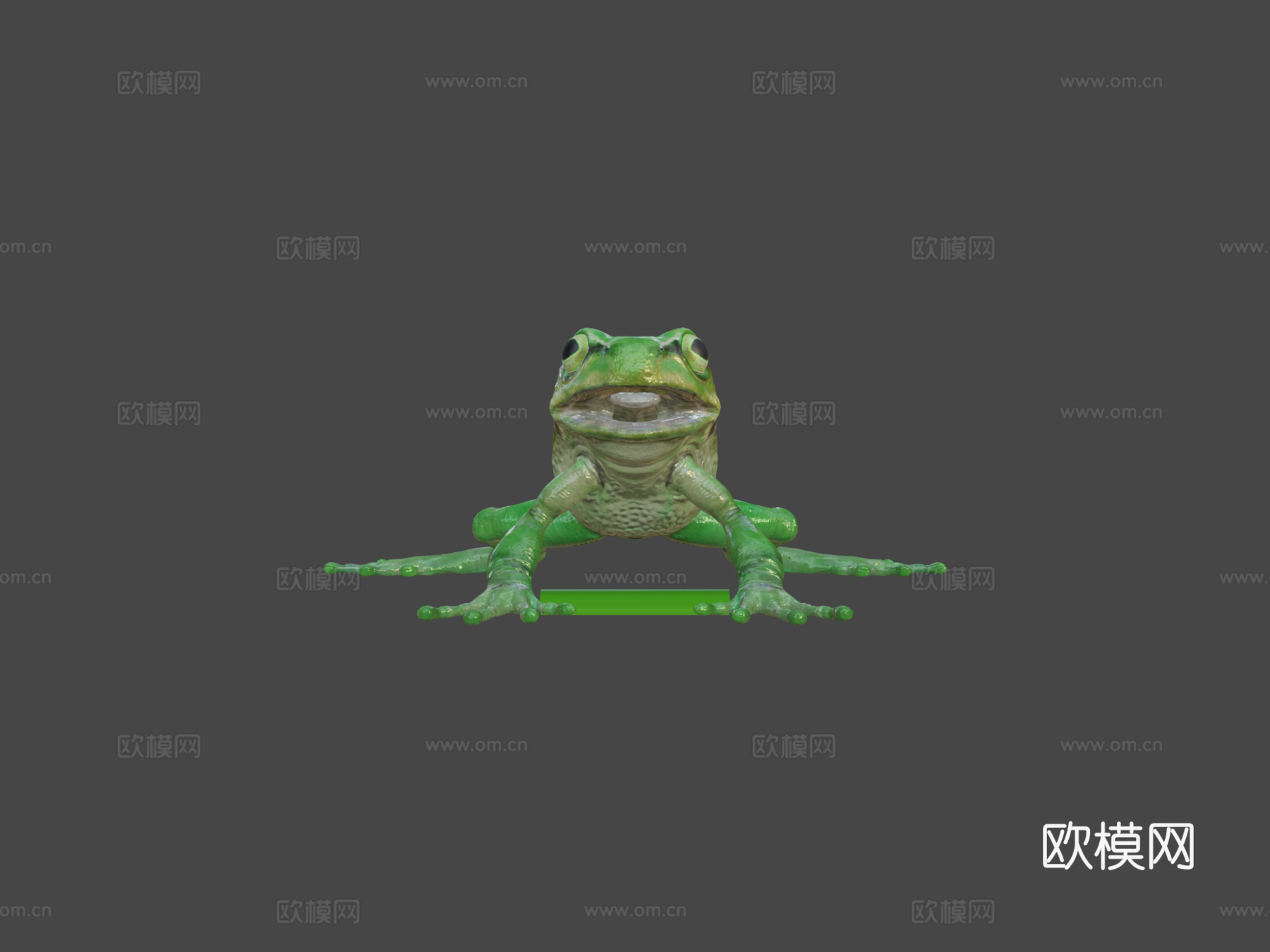 欧洲树蛙3d模型