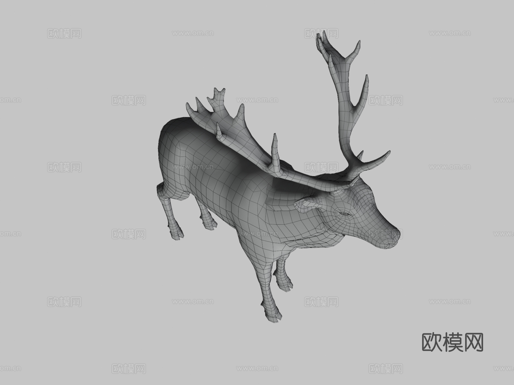 红鹿3d模型