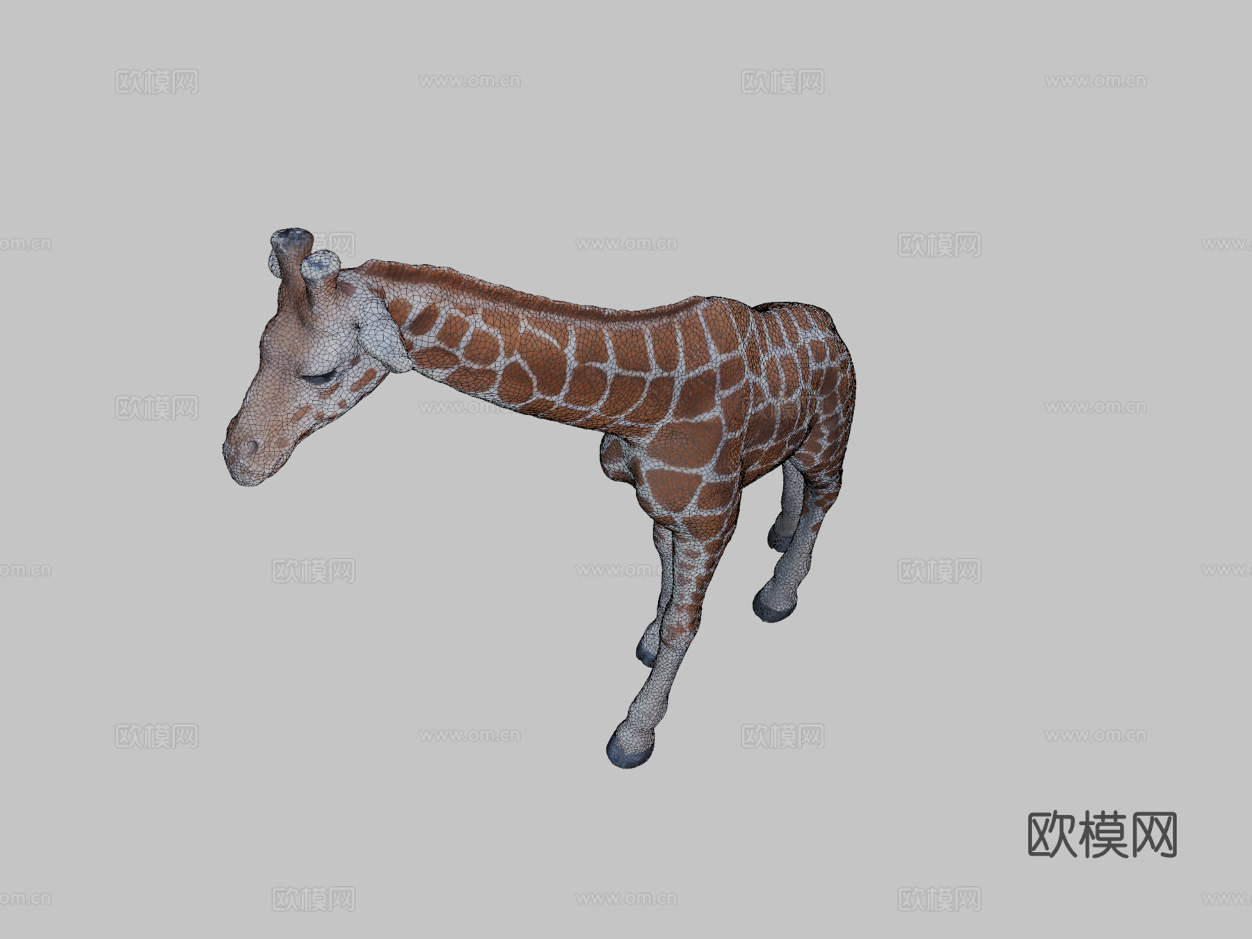 玩具长颈鹿3d模型
