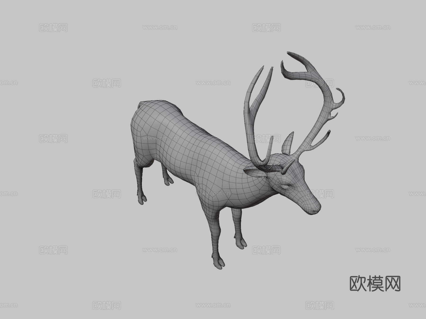 鹿全身3d模型