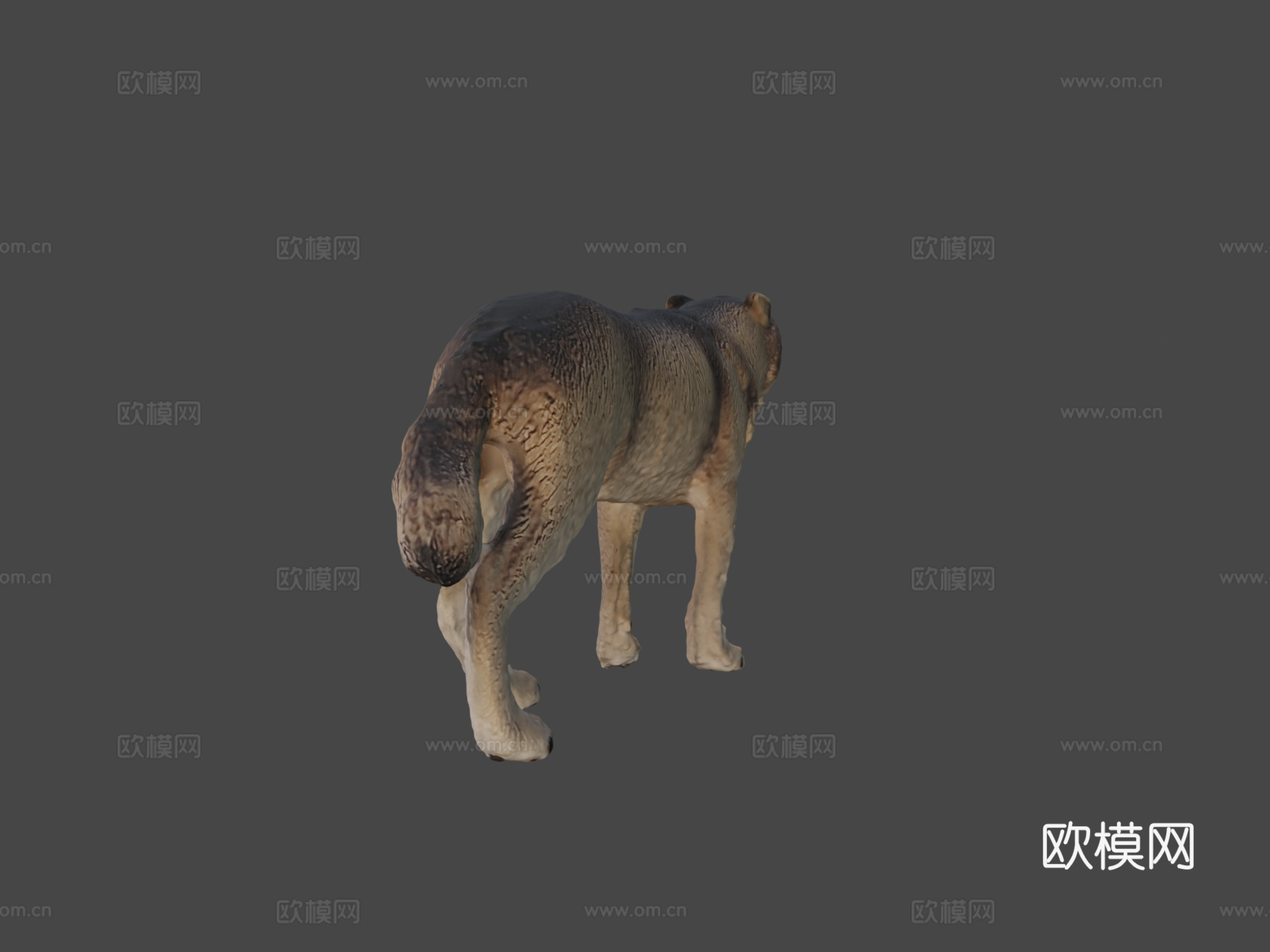 狼雕像3d模型