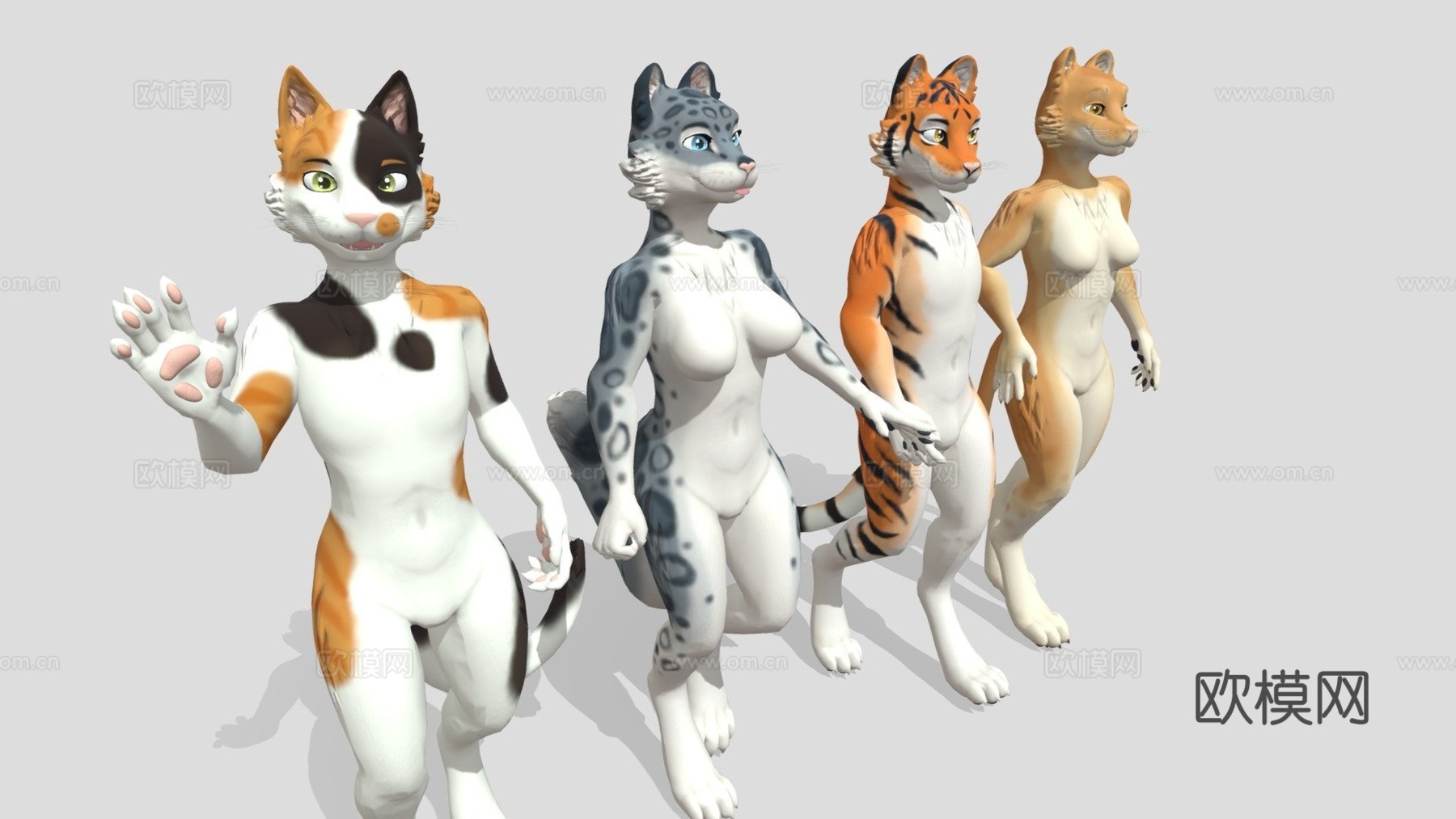 库达的猫科-VRChat虚拟形象3d模型