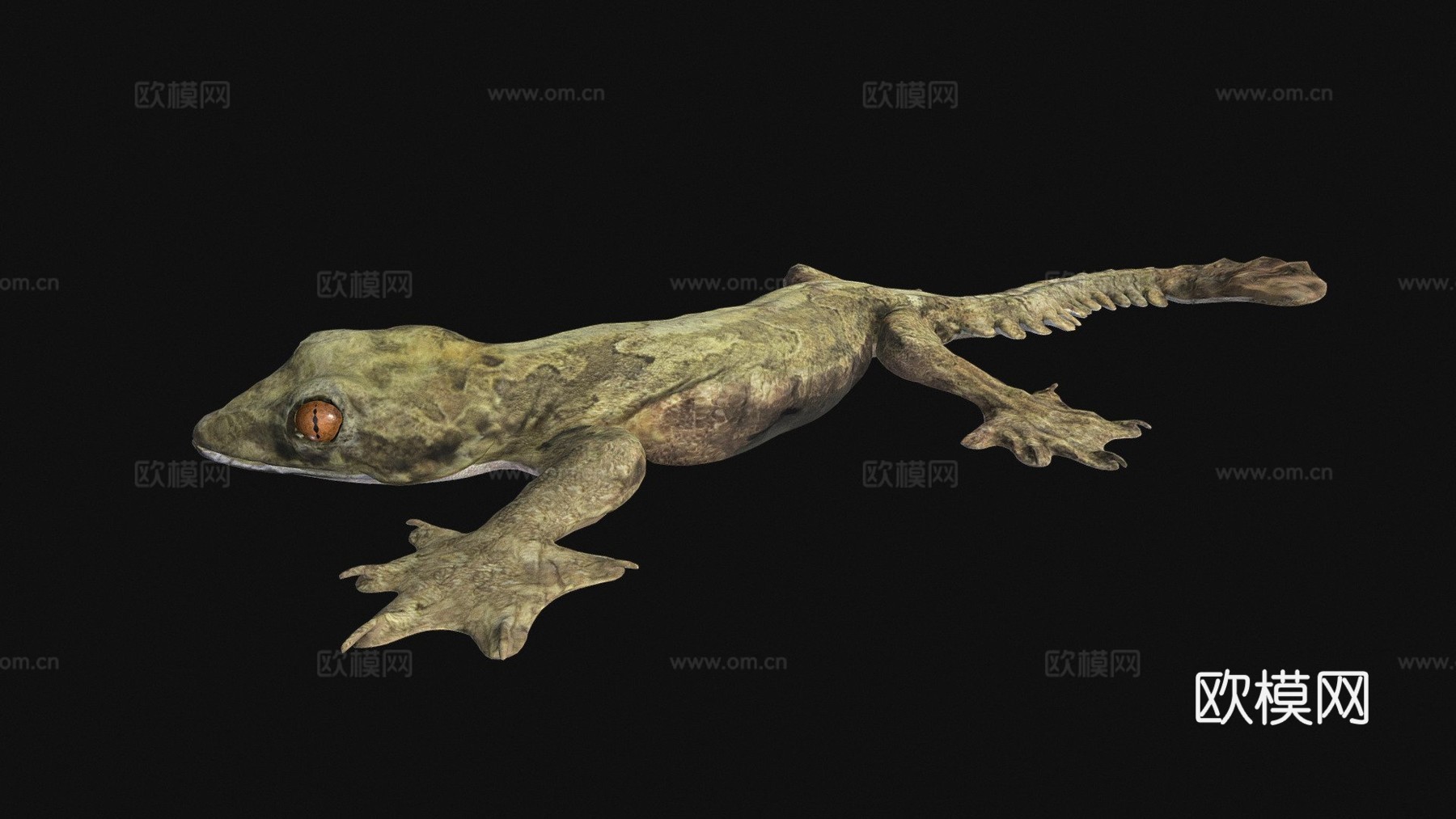 A型-飞壁虎3d模型