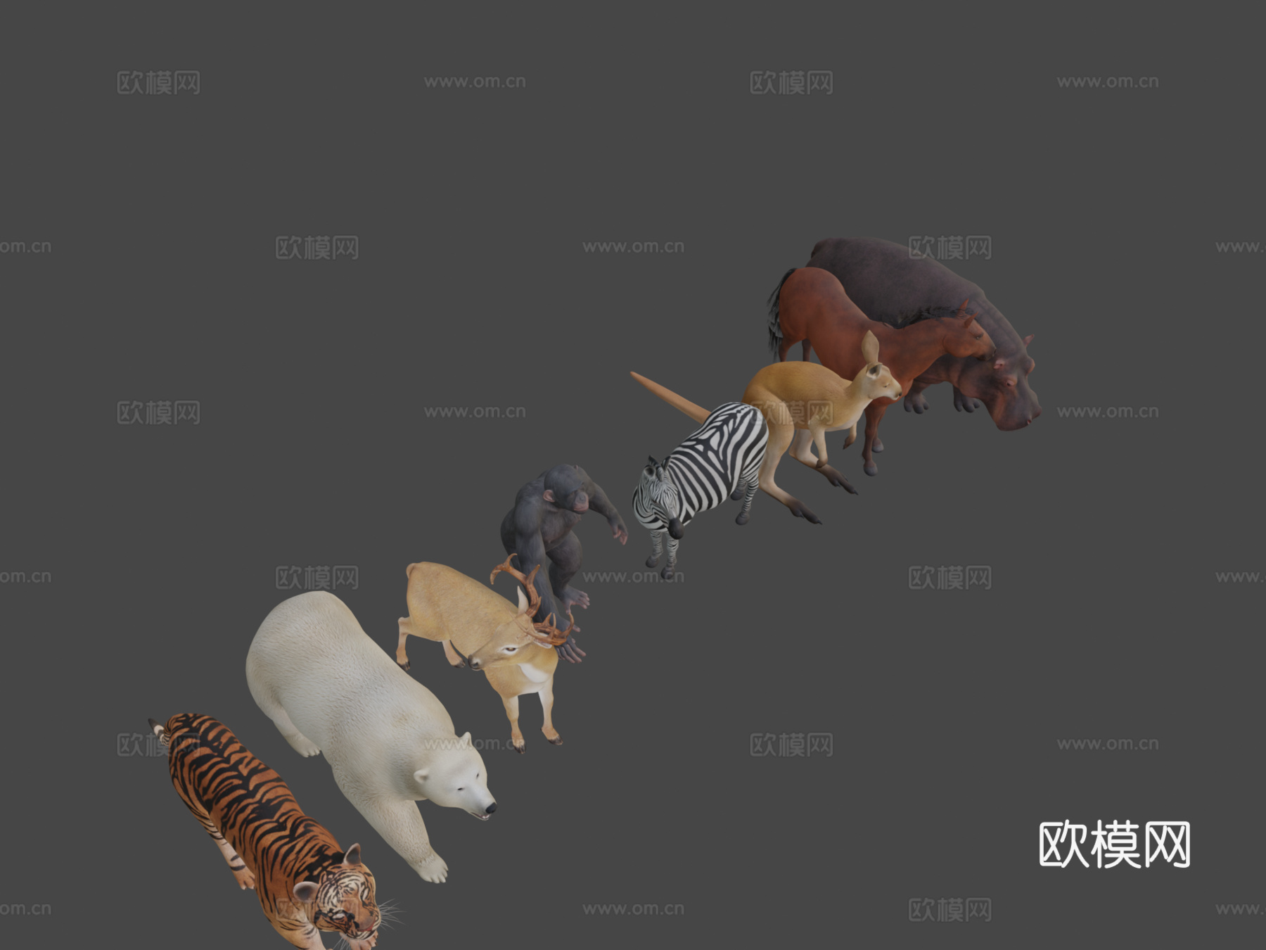 中型动物包3d模型