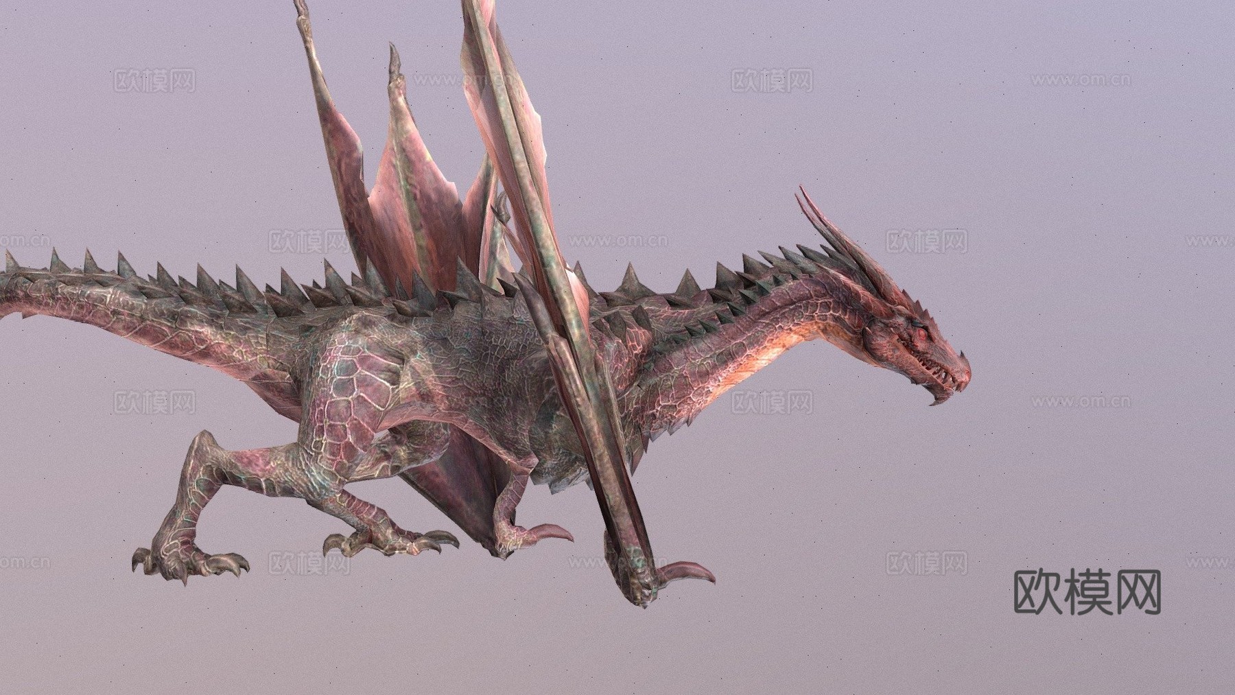 双足飞龙动画(青雉)_13d模型
