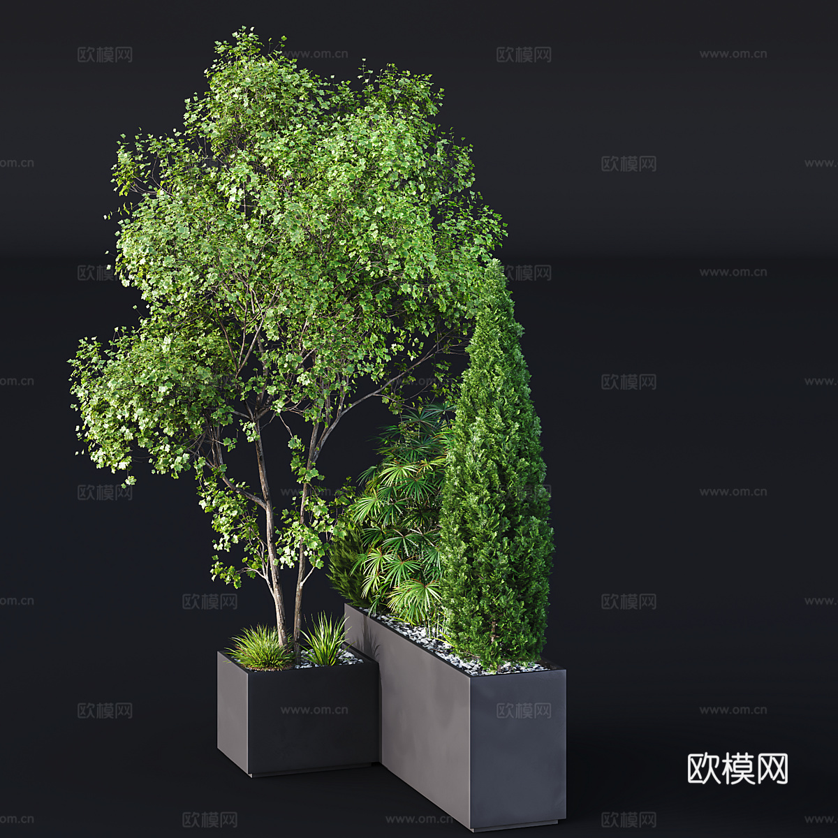 现代庭院绿植 庭院盆栽 灌木花园箱3d模型