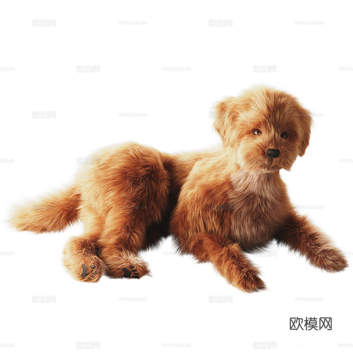 宠物狗 小型家犬3d模型